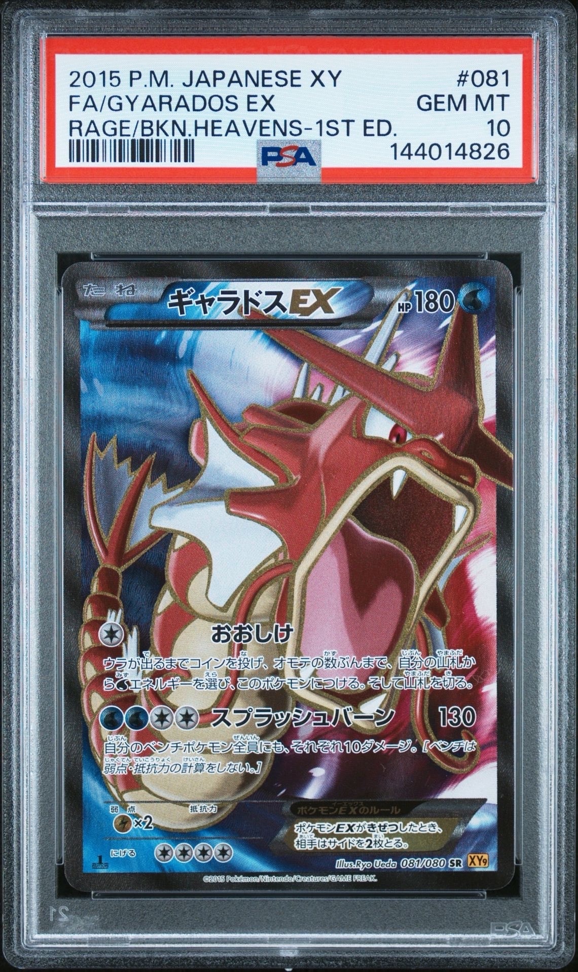 ギャラドスEX SR :1ED [XY9 081/080](拡張パック「破天の怒り」)の新品