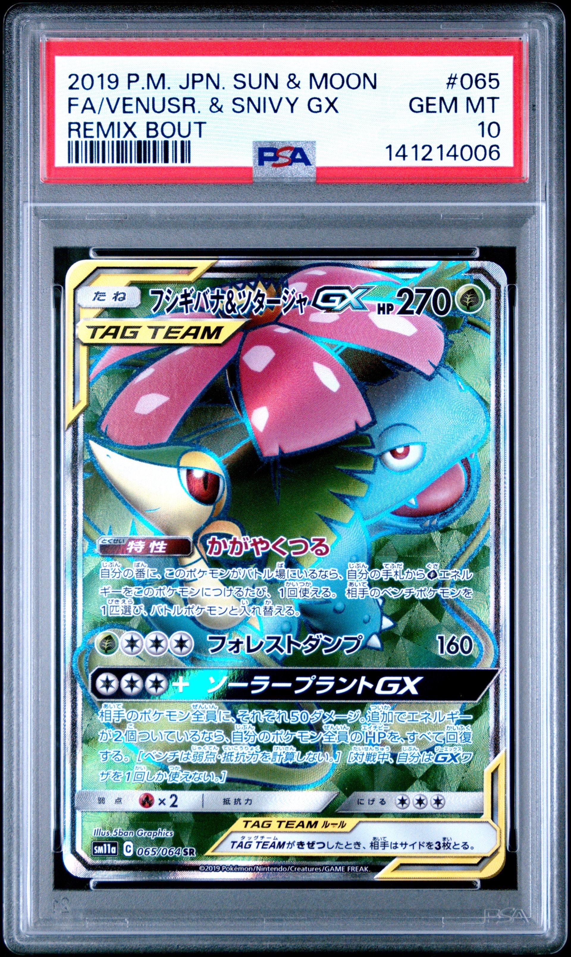 フシギバナ&ツタージャGX SR[SM11a 065/064](強化拡張パック