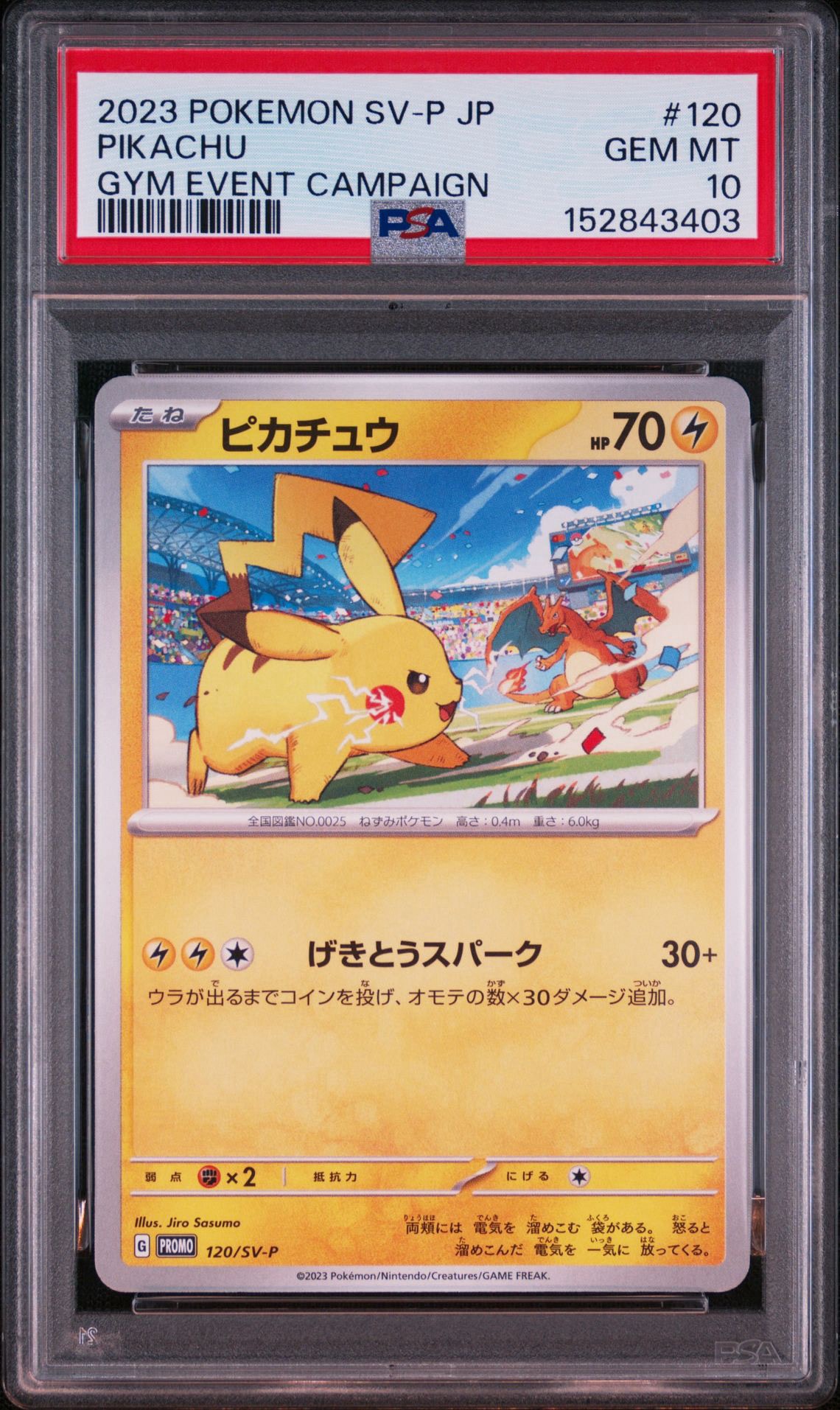 ピカチュウ: プロモ [SV-P 120](プロモーションカード「SV-P」)通販