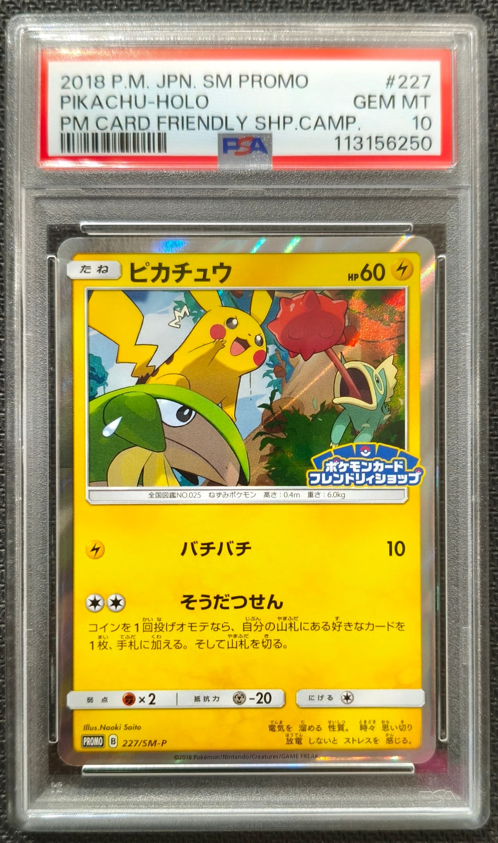 ピカチュウ P [SM-P 227](プロモーションカード「ポケモンカードフレンドリィショップ限定キャンペーン」)