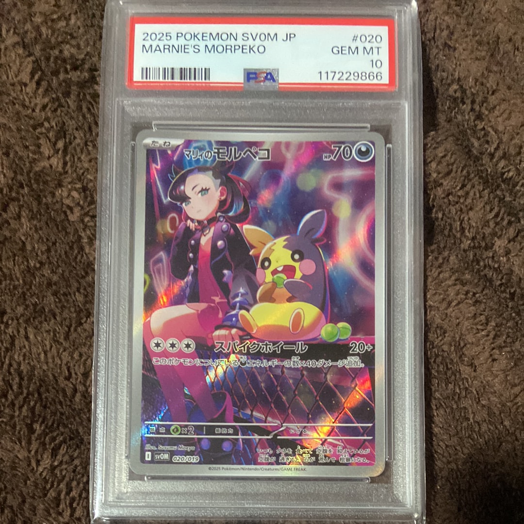 PSA10】マツバの確信 SAR [SV5K 097/071](拡張パック「ワイルド