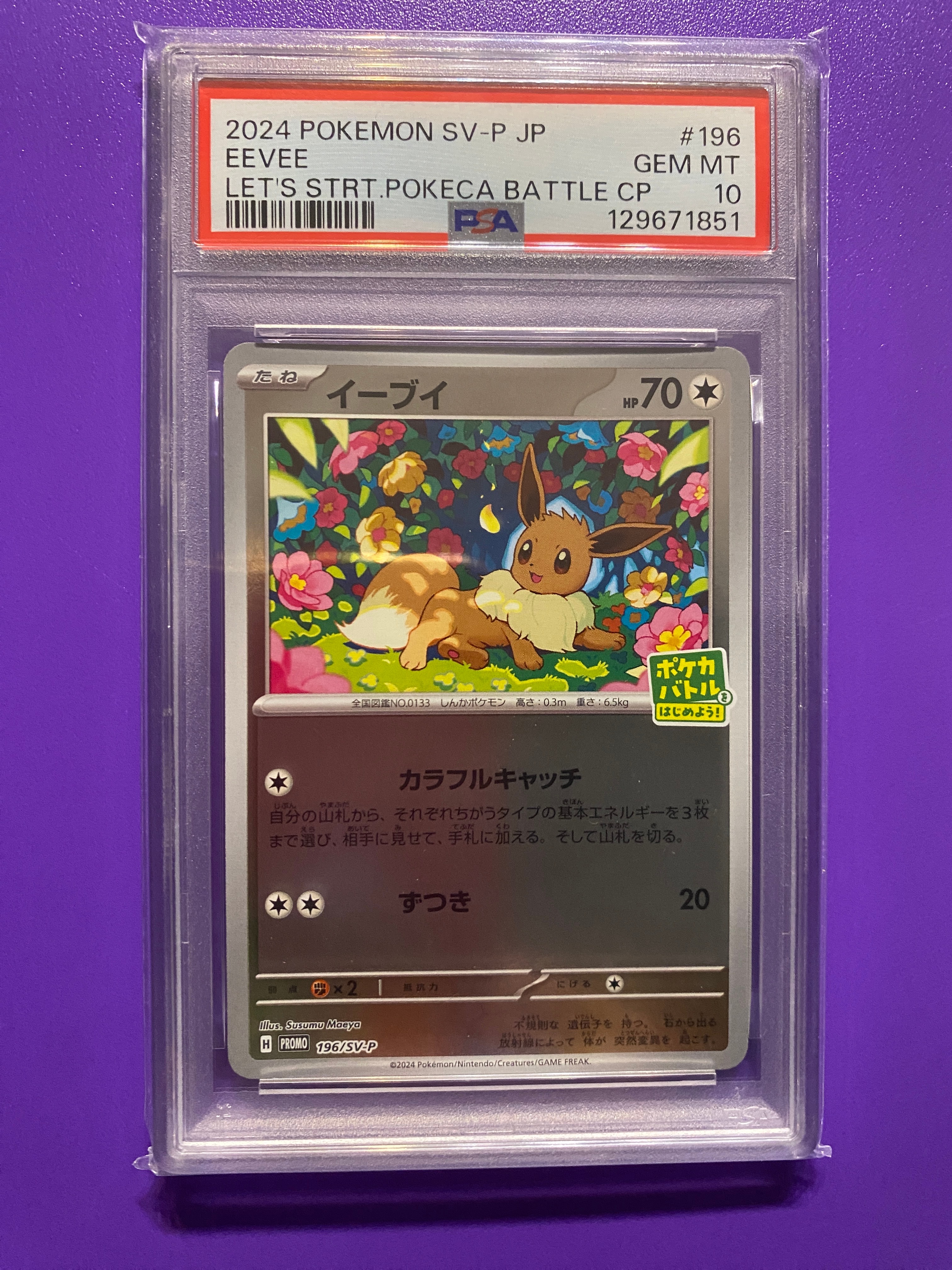 イーブイ P [SV-P-SM 196](プロモカードパック「ポケカバトルをはじめ