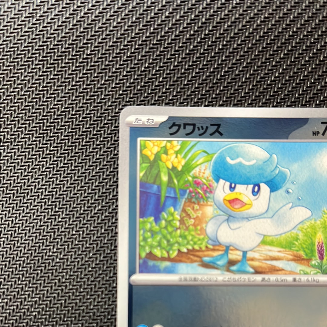 A]Quaxly P [SV-P 215](Promo Card Pack "Pokemon Card Summer is Here! Get a  Promo Card Campaign!") | SNKRDUNK