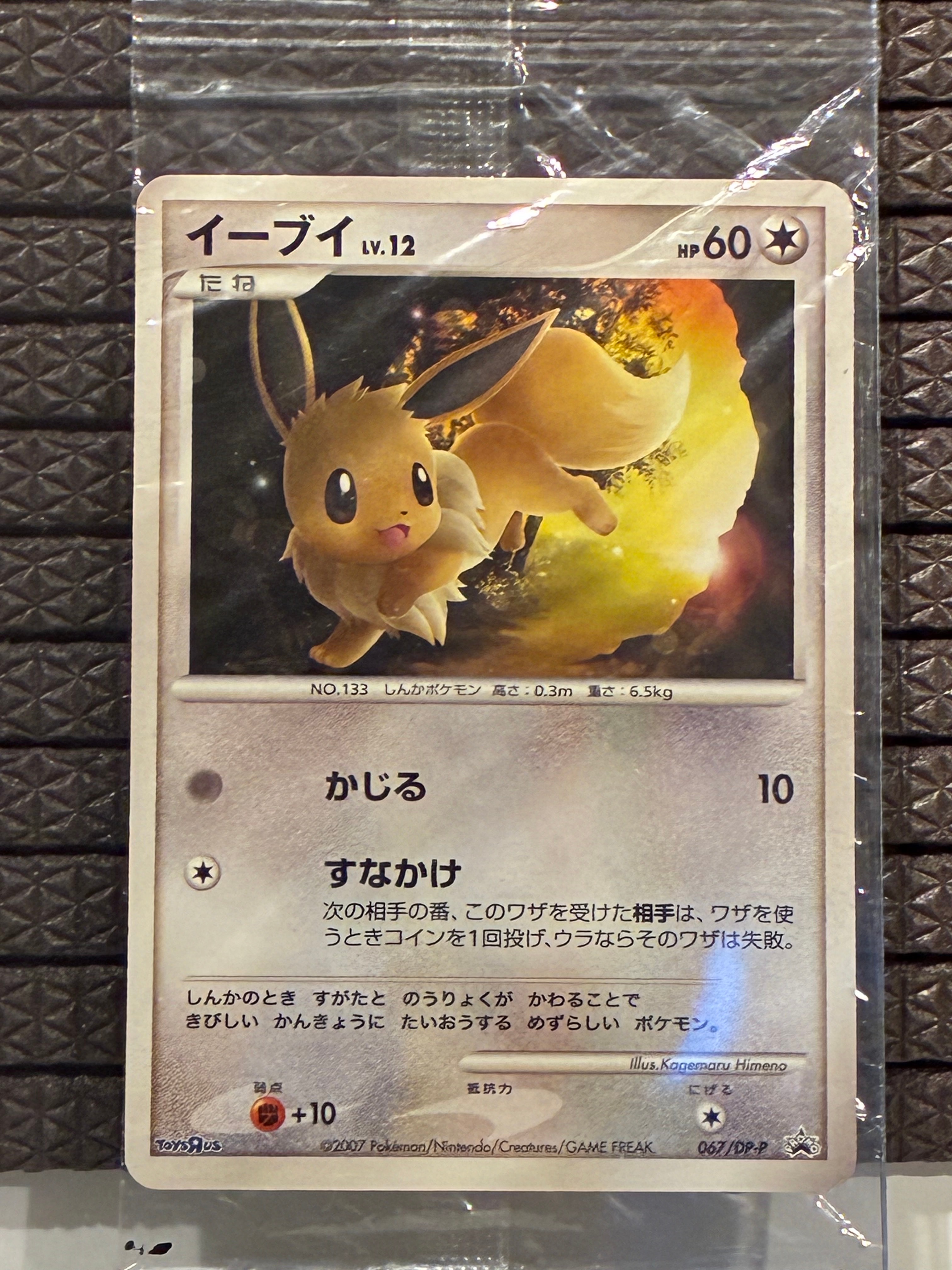 【未開封品】イーブイ　プロモ　トイザらス m46486601909_1.jpg?1684736934