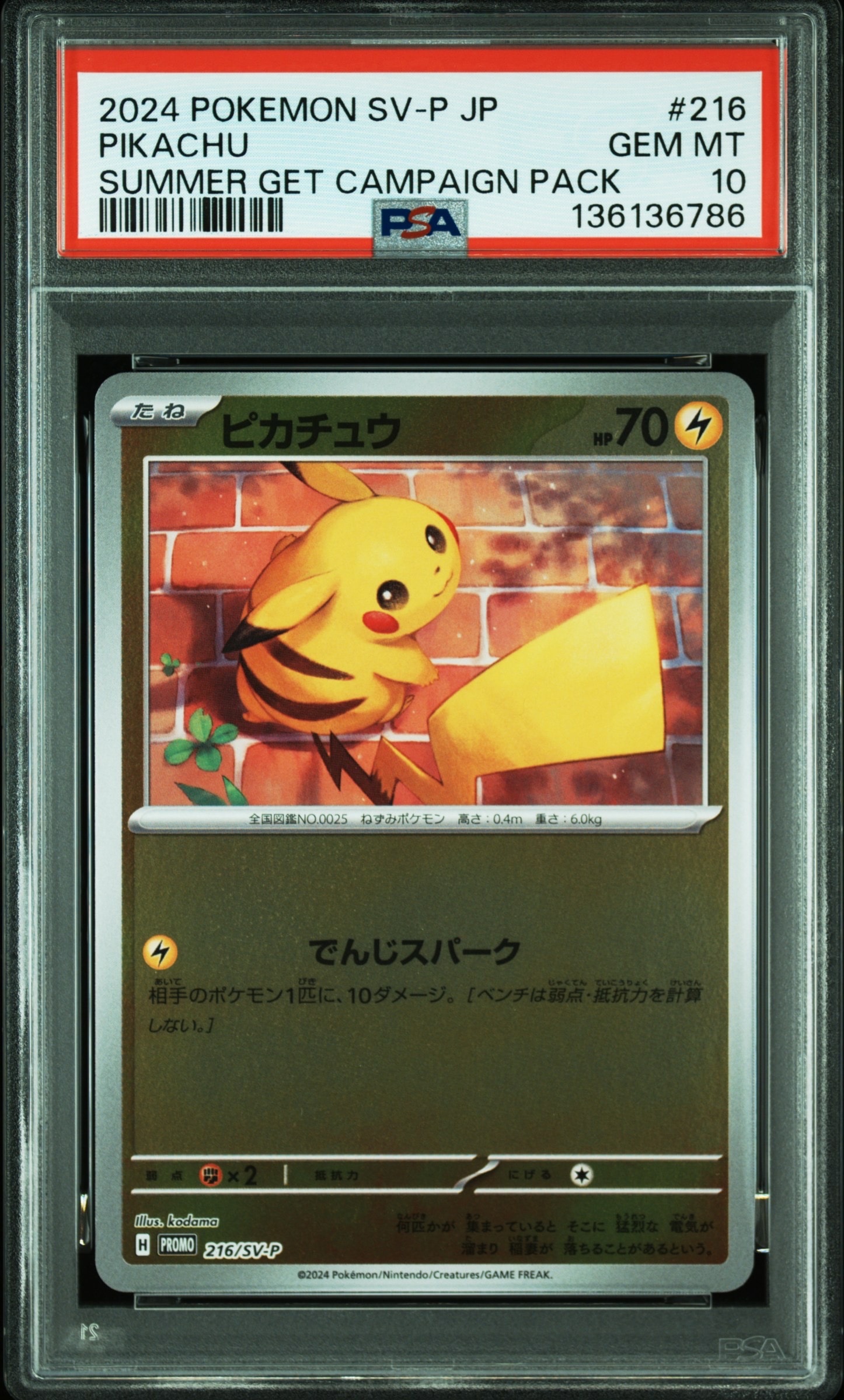 ピカチュウ P [SV-P 216](プロモカードパック「ポケカの夏がキタ!プロモカードGetキャンペーン!」)