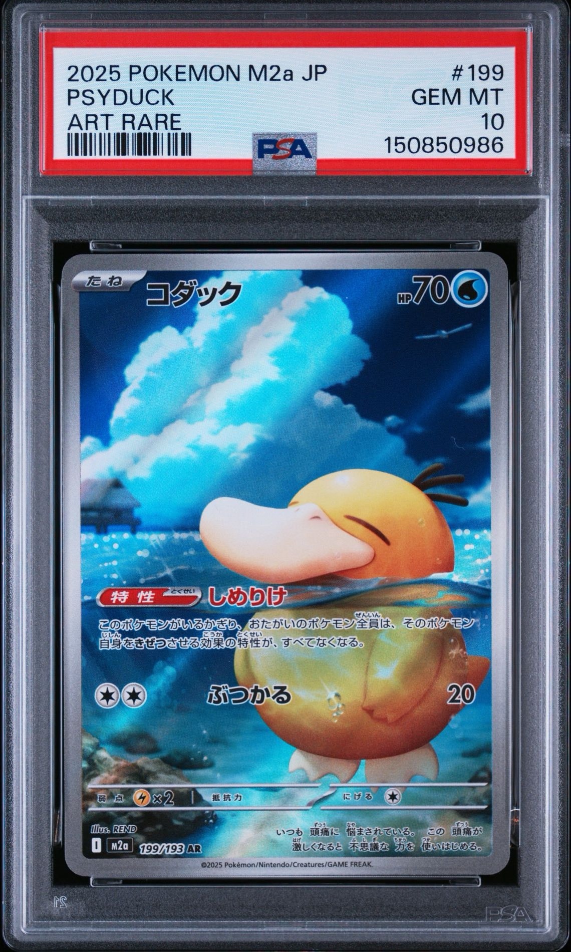 コダック AR [M2a 199/193](ハイクラスパック「MEGAドリームex」)通販