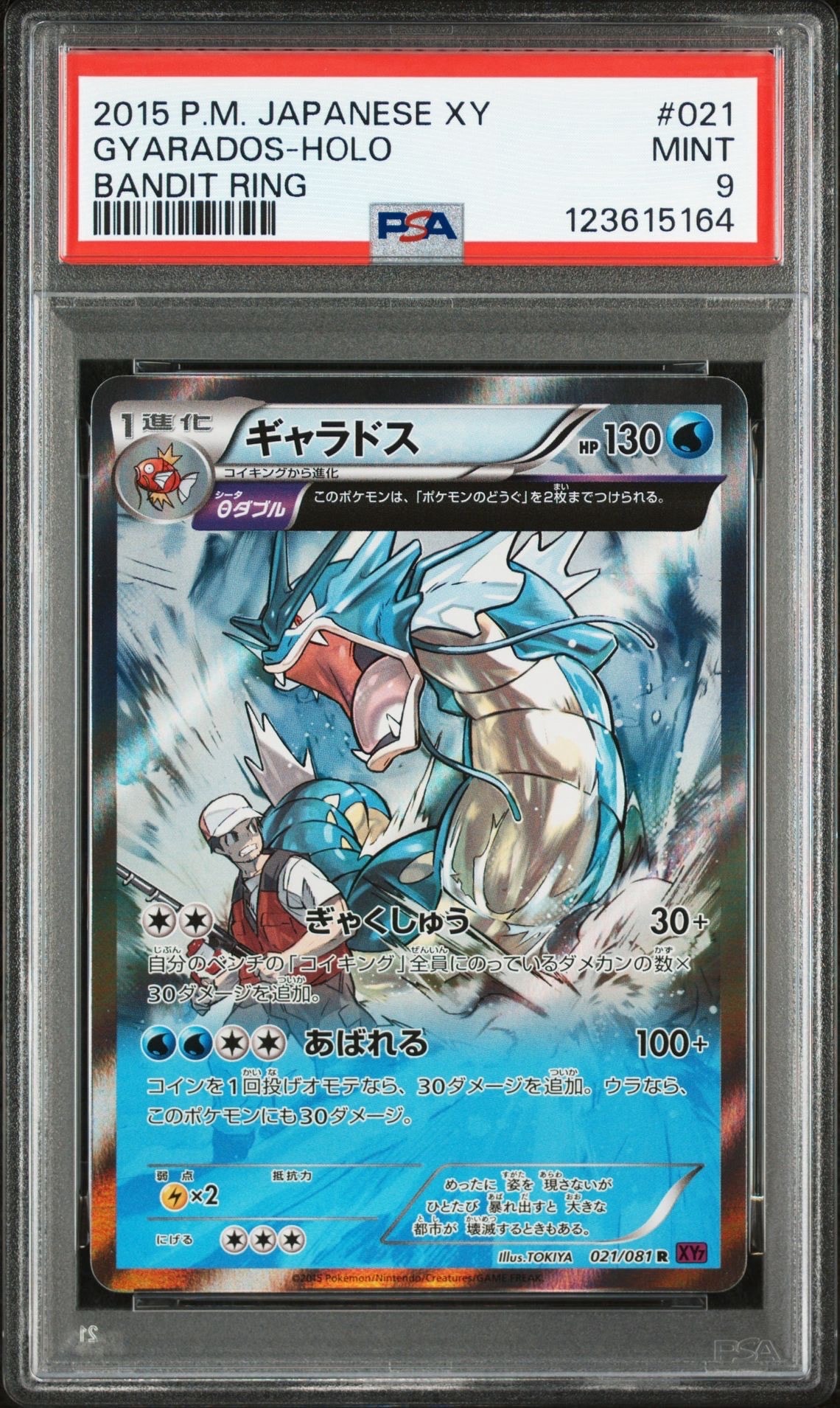 ギャラドス R [XY7 021/081](拡張パック「バンデットリング」)