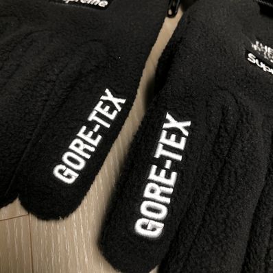 Supreme x The North Face RTG Fleece Gloves "Black"