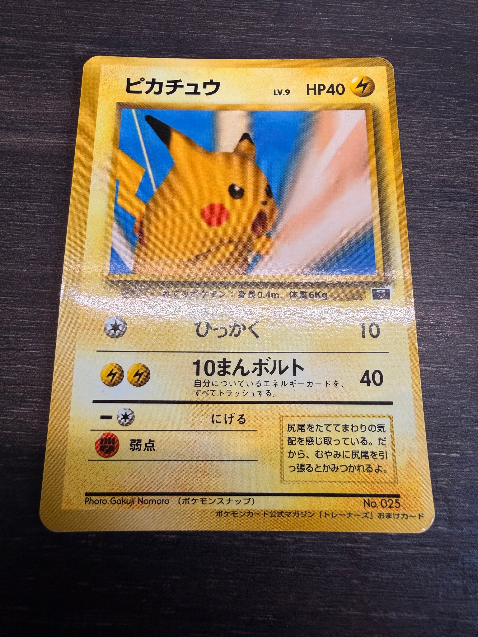 ピカチュウ P : 旧裏 [PMCG-P No.025](プロモーションカード「ポケモンカードトレーナーズVol.1」)