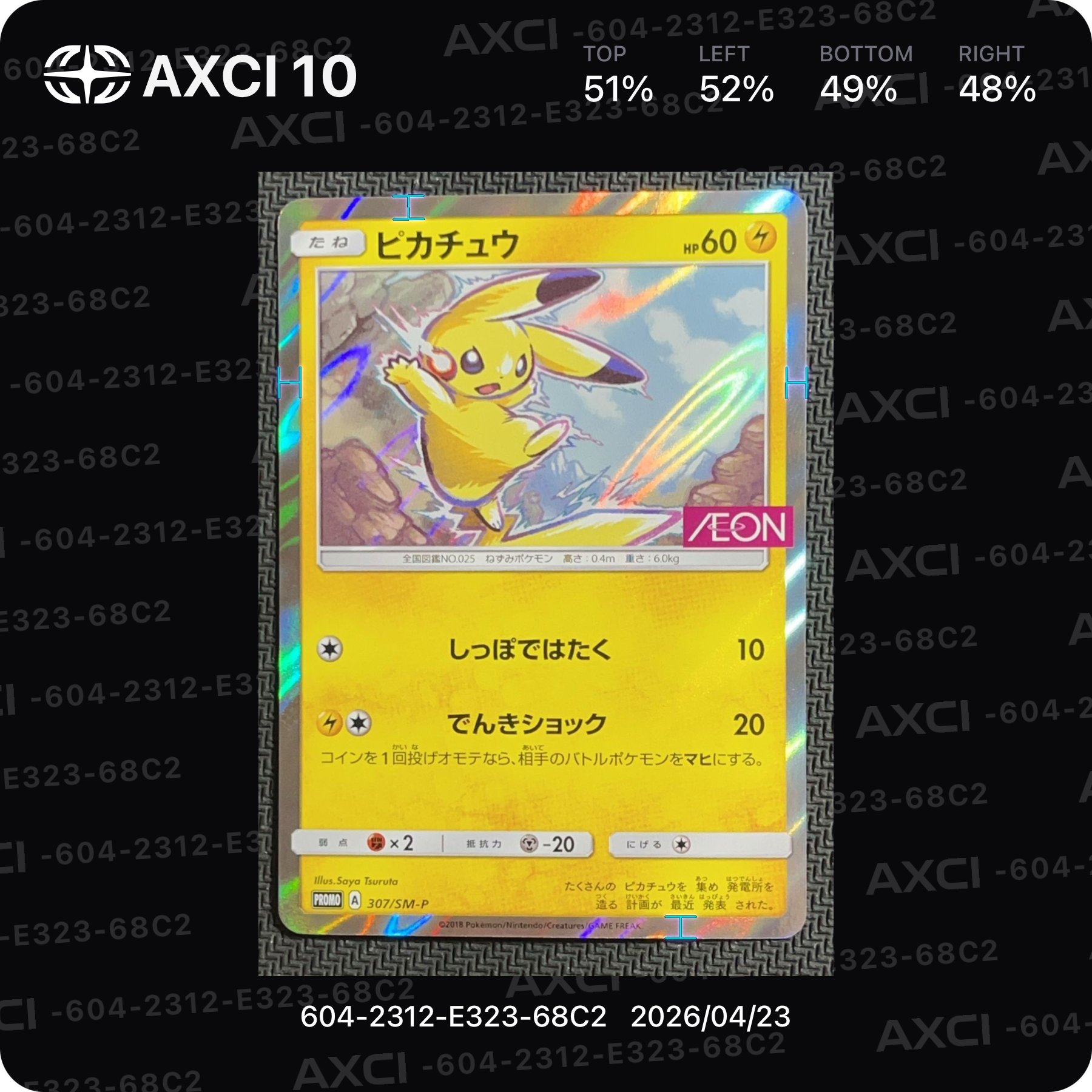 ピカチュウ: プロモ [SM-P 307](プロモーションカード「SM-P」)