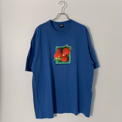 Stussy Berries Tee "Blue"