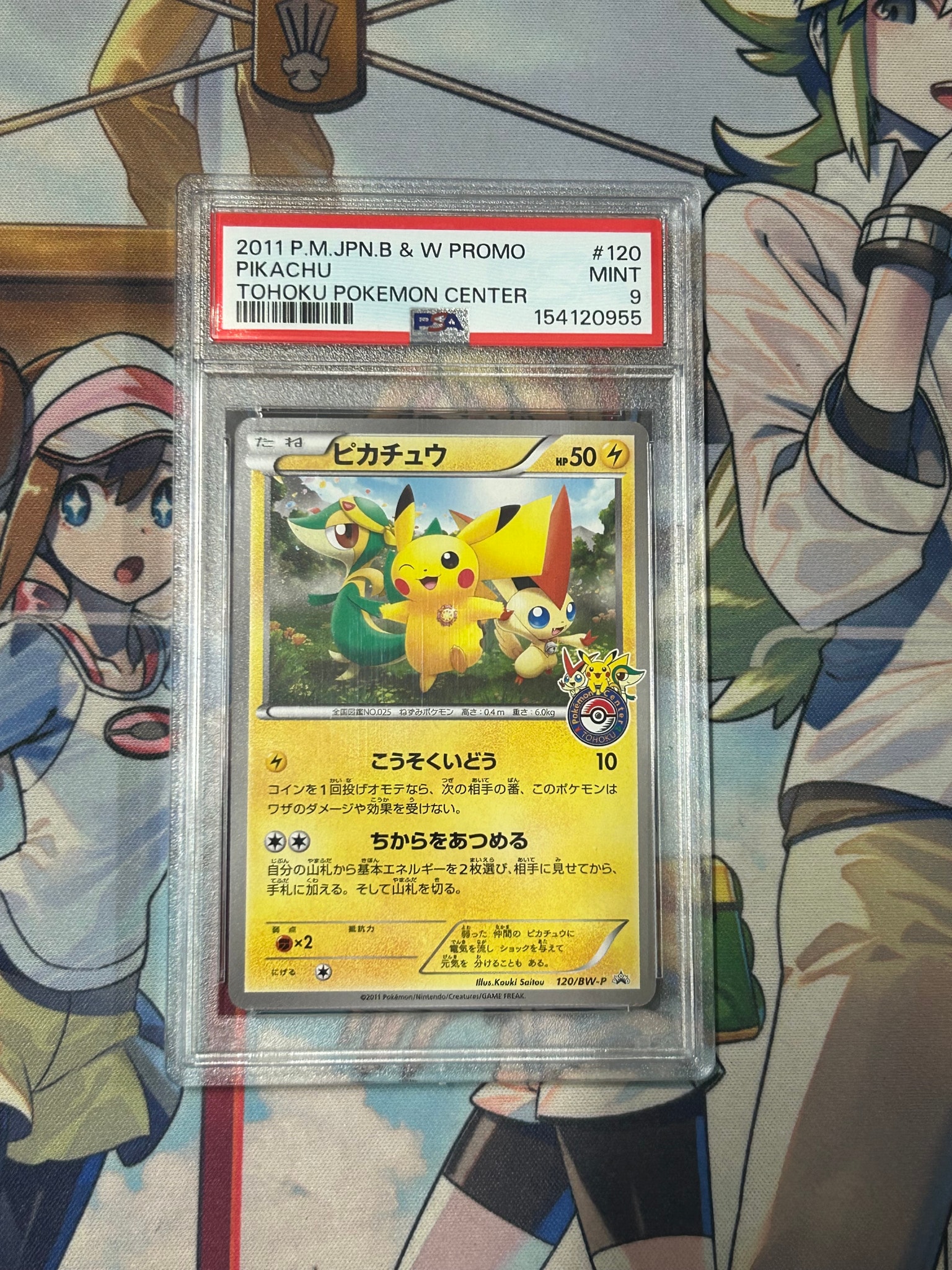 ピカチュウ P [BW-P 120/BW-P](プロモーションカード「ポケモンセンタートウホク オープン記念プレゼント」)