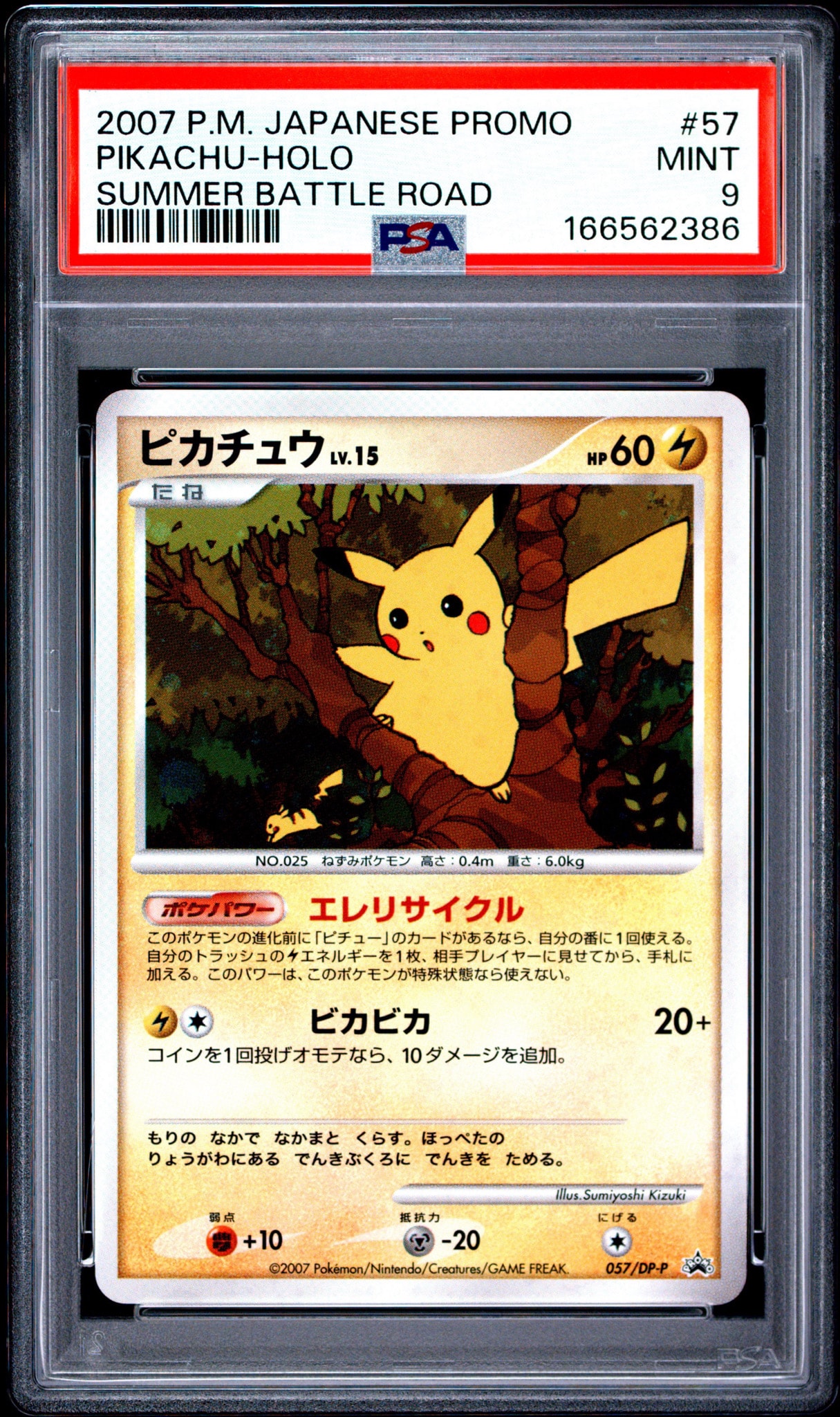 ピカチュウ PROMO DPプロモーションカード /DP-P PSA10】ピカチュウ: プロモ[DP-P 057/DP-P](プロモーションカード「DP