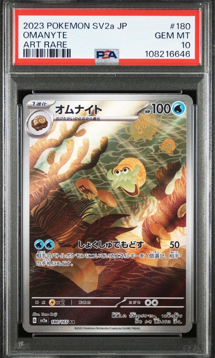 オムナイト AR[SV2a 180/165](強化拡張パック「ポケモンカード151」)