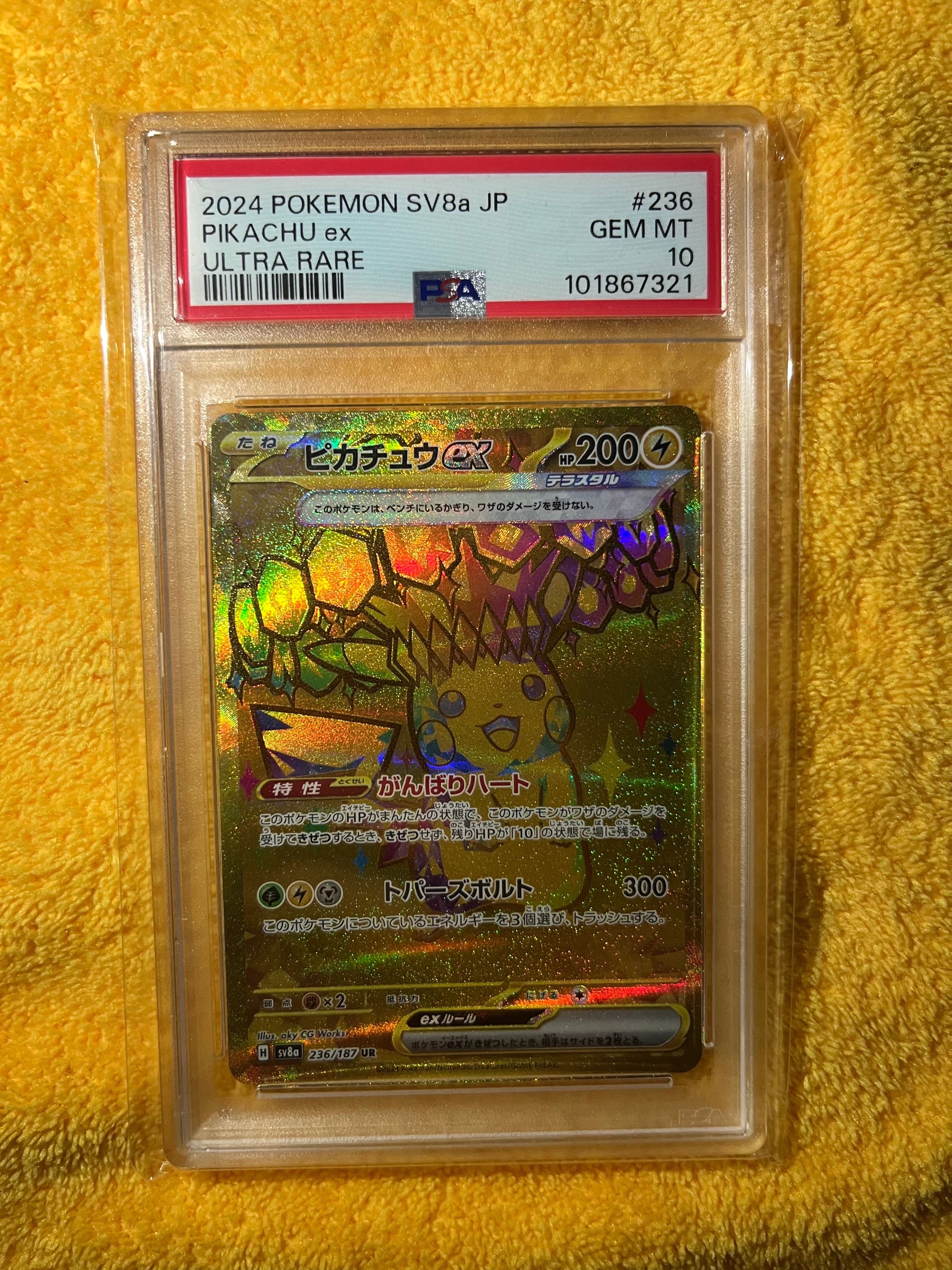 カメックス: プロモ[S8a-P 003/025](プロモカードパック 25th