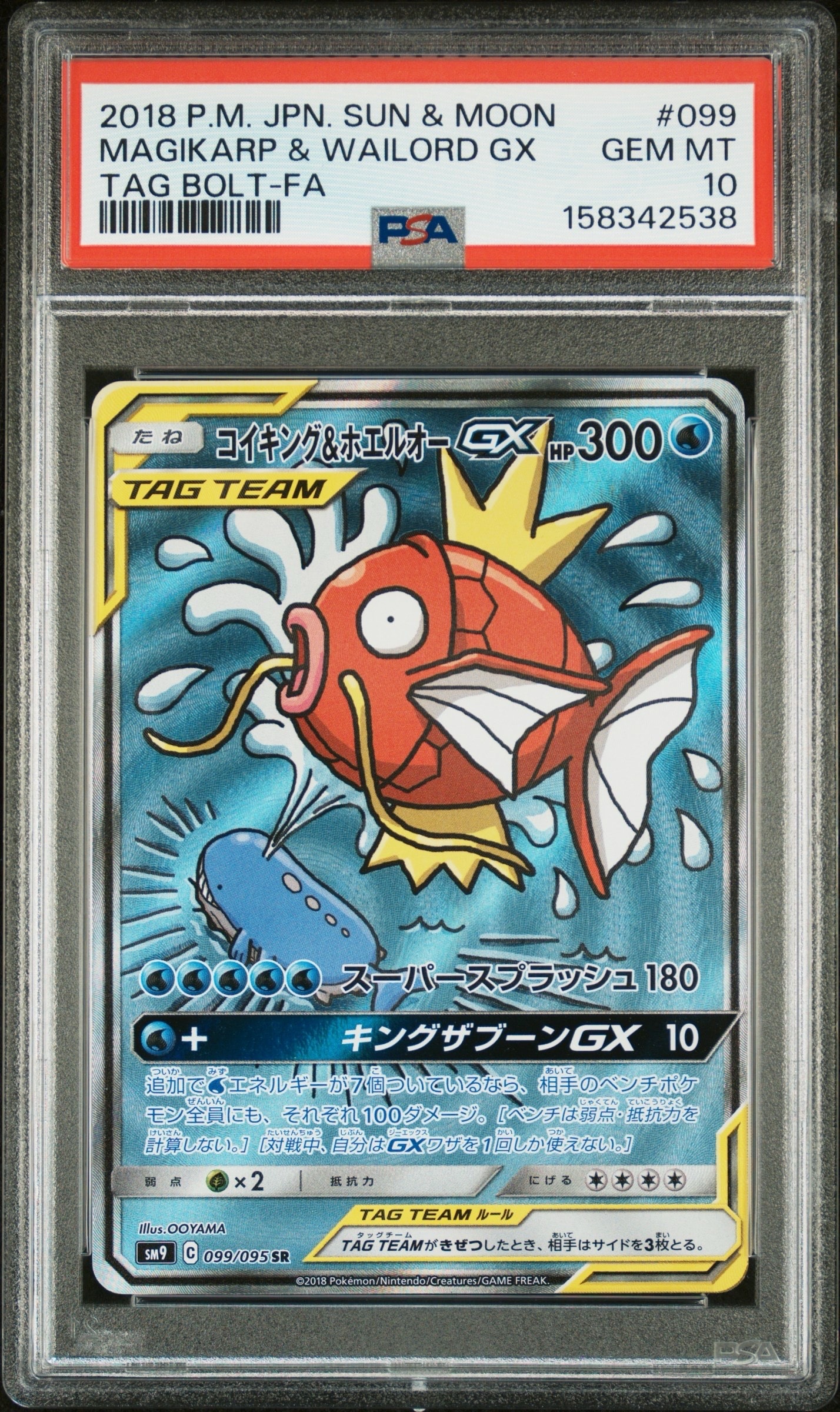 フウロ: プロモ[XY-P 164/XY-P](プロモーションカード「XY-P」)の新品