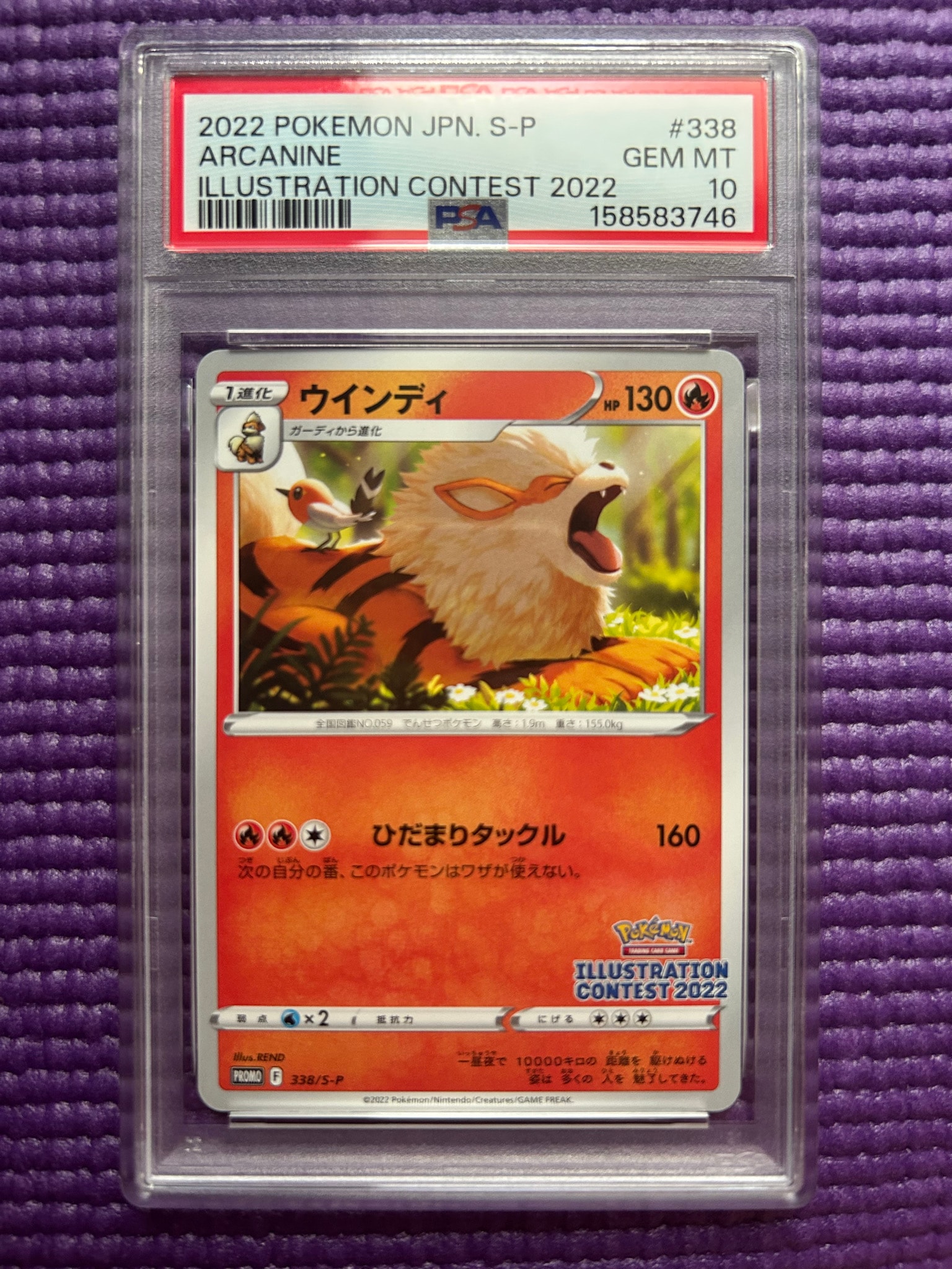 Arcanine PROMO[PROMO338/S-P](Promotional Cards "Pokemon Centers / Pokemon Stores / Pokemon Center Online Bonus for purchases over 2000 yen")
