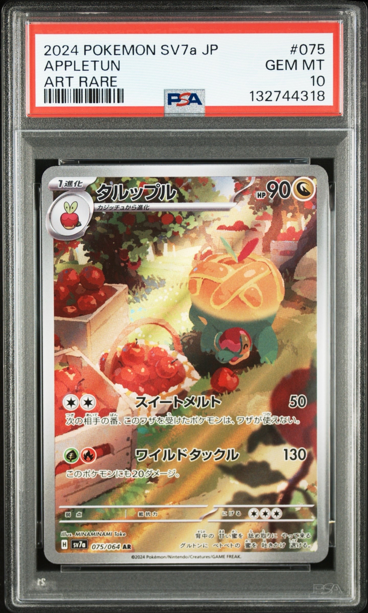 タルップル AR [SV7a 075/064](強化拡張パック「楽園ドラゴーナ」)