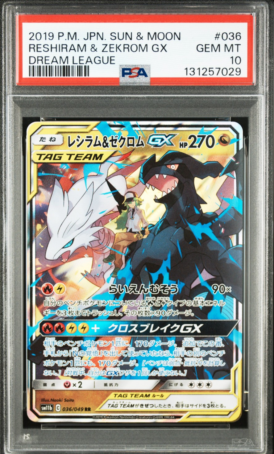 レシラム&ゼクロムGX (N) RR[SM11b 036/049](強化拡張パック「ドリームリーグ」)