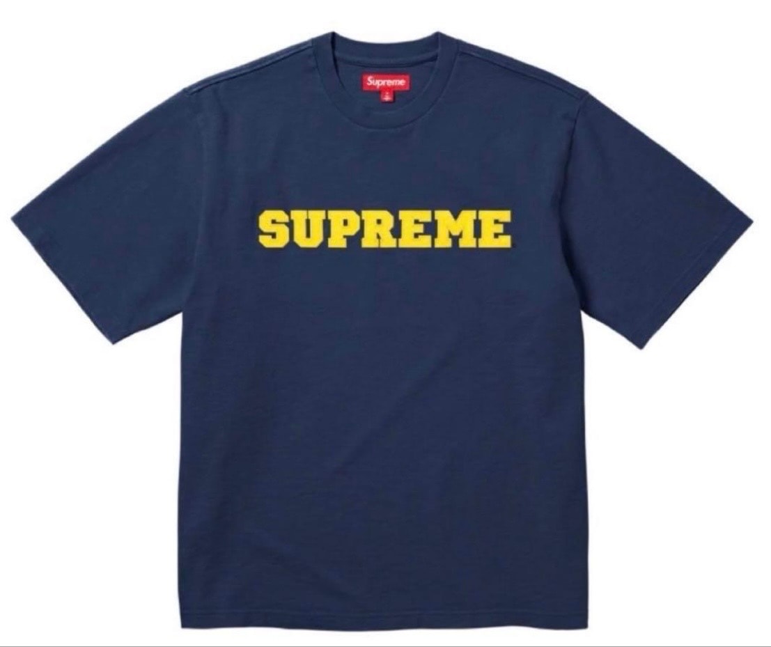 Supreme x The North Face Metallic Logo T-Shirt 