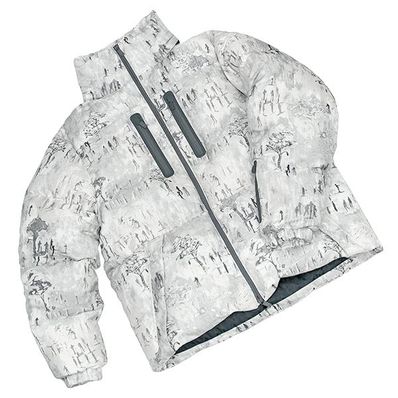 ディオール ピータードイク ダウンジャケット グレー