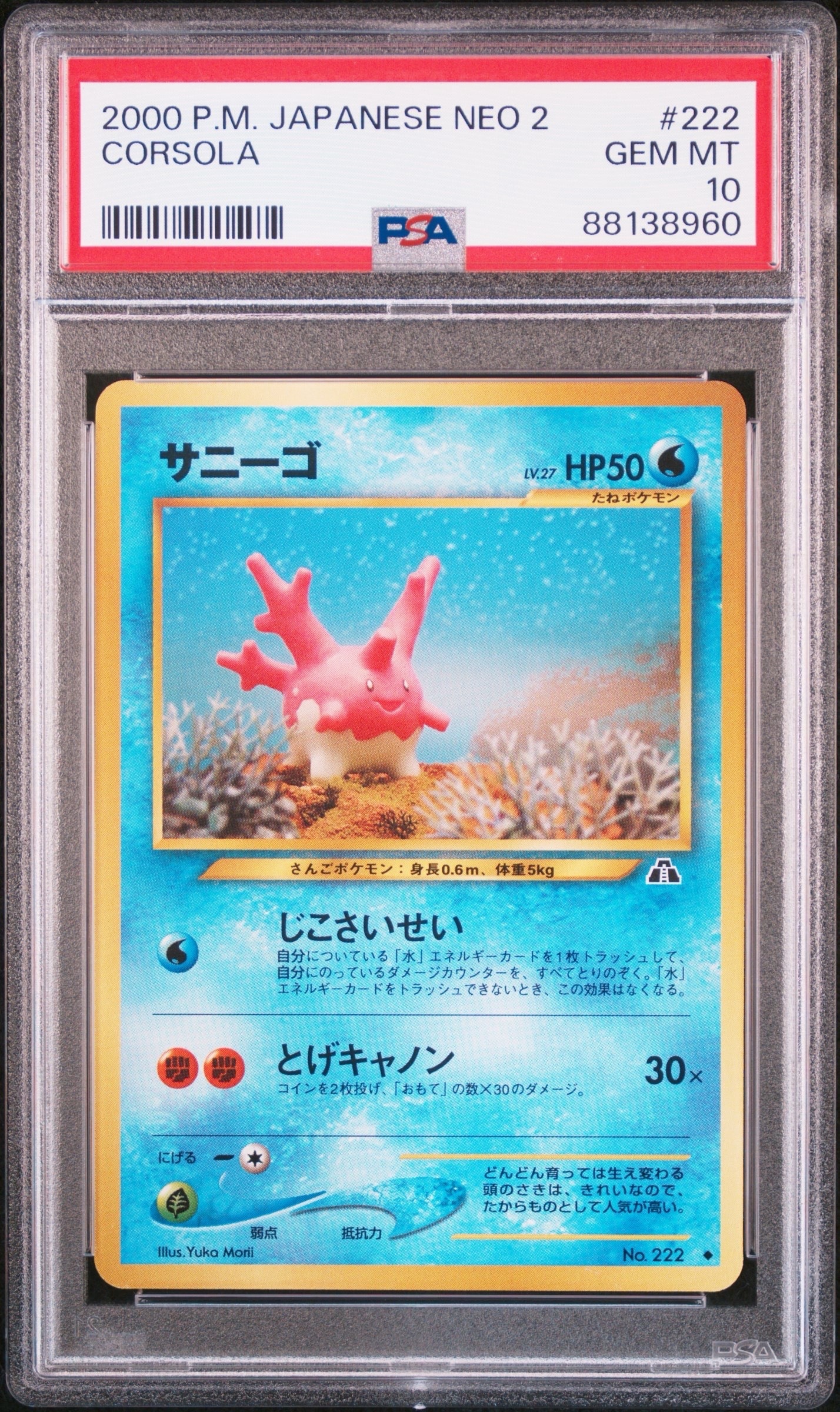 サニーゴ ◆ : 旧裏 [neo2 No.222](ポケモンカード★neo 拡張パック「遺跡をこえて...」)