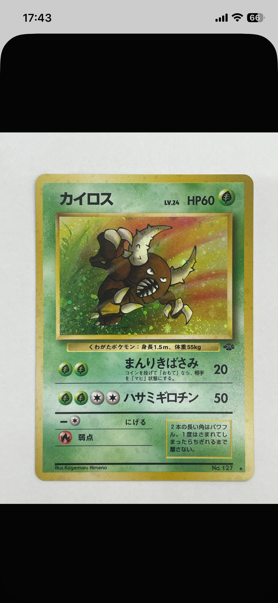 カイロス R: 旧裏 [PMCG2 No.127](拡張パック「ポケモンジャングル」)