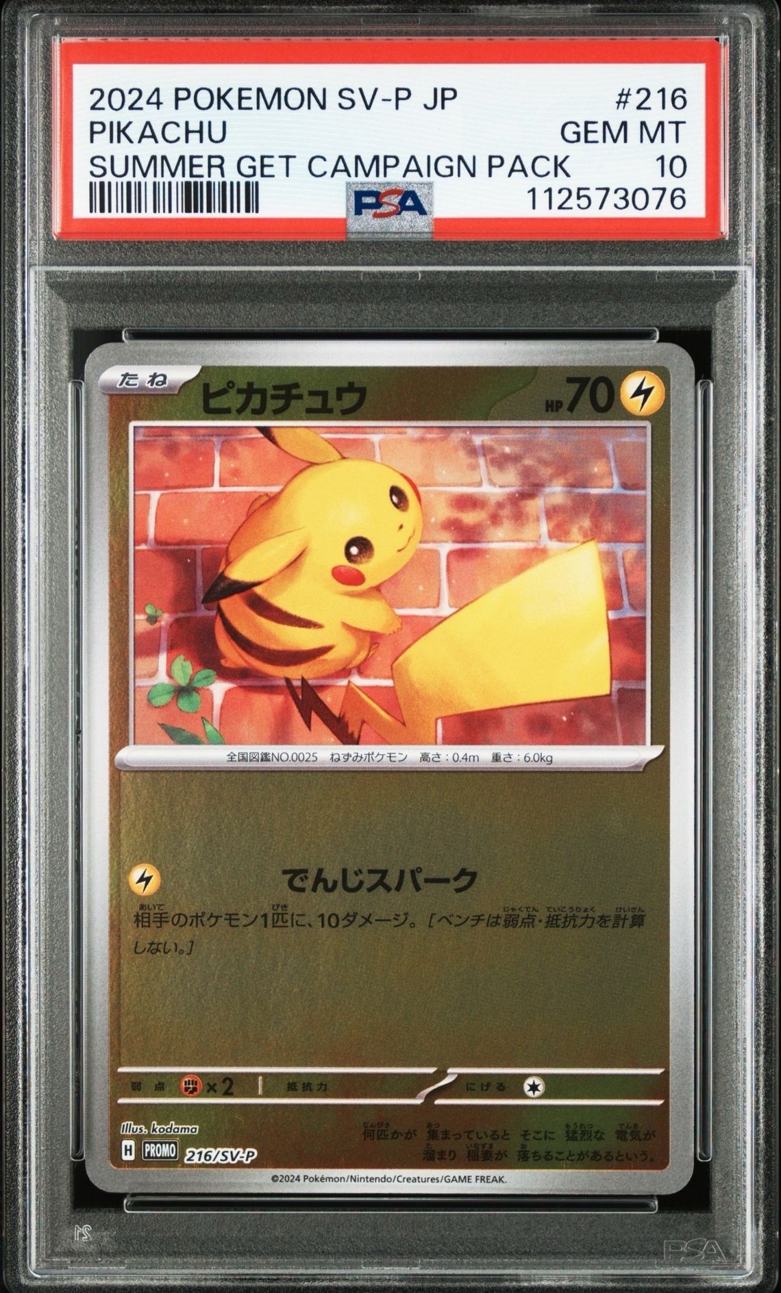 ピカチュウ P [SV-P 216](プロモカードパック「ポケカの夏がキタ!プロモカードGetキャンペーン!」)