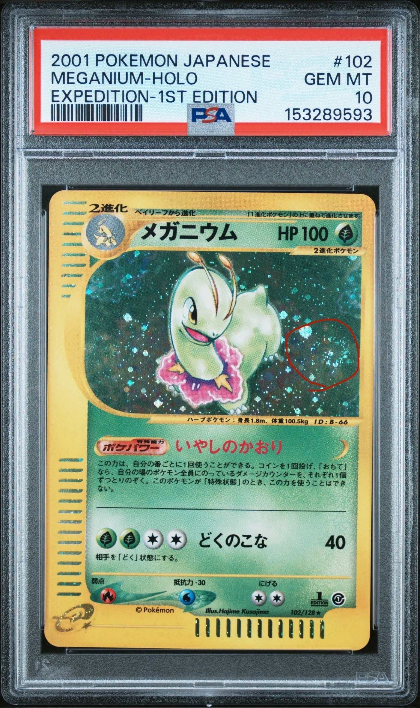 メガニウム ☆ :1ED [e1 102/128](ポケモンカードe 第1弾「基本拡張