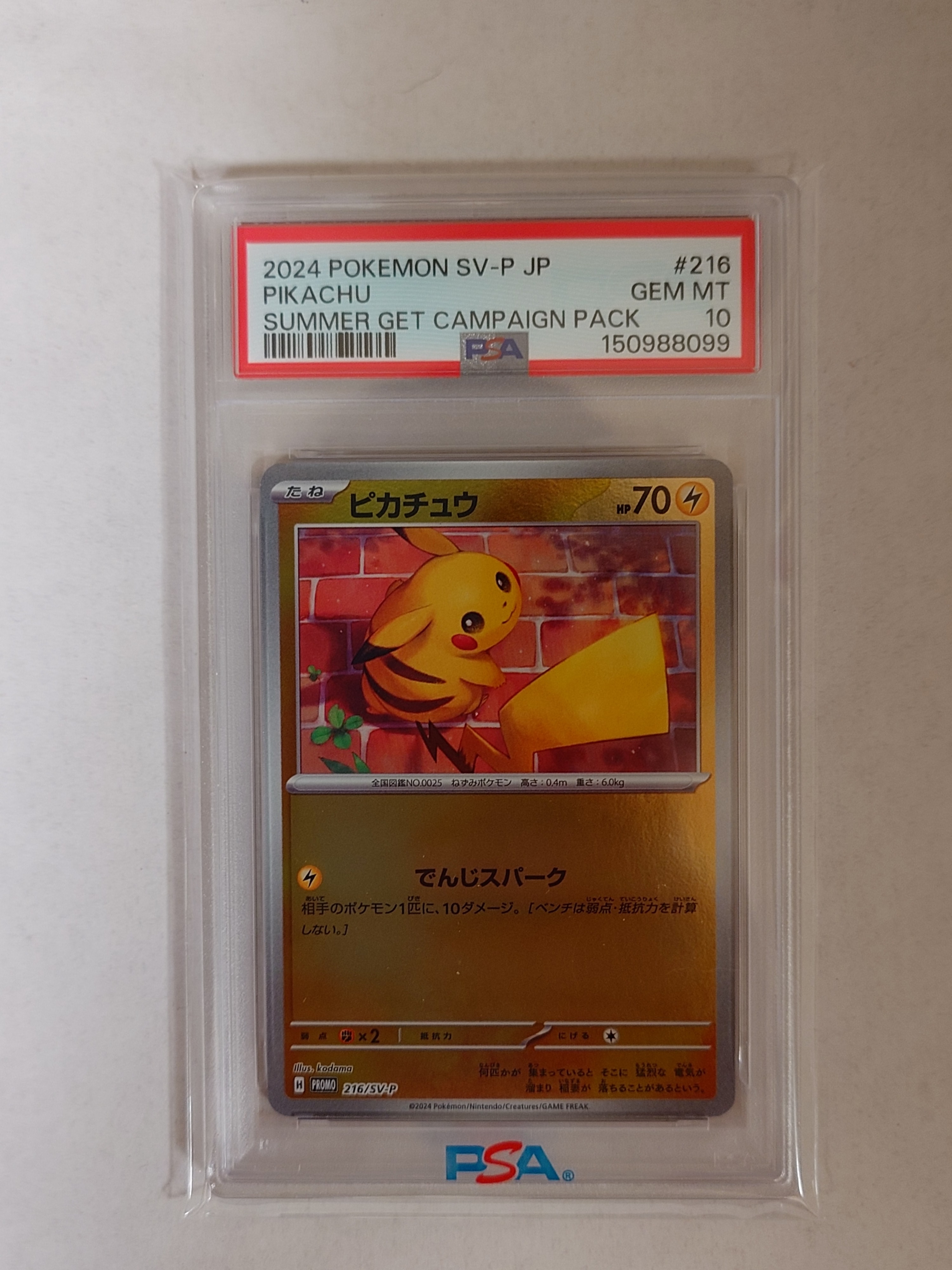 ピカチュウ P [SV-P 216](プロモカードパック「ポケカの夏がキタ
