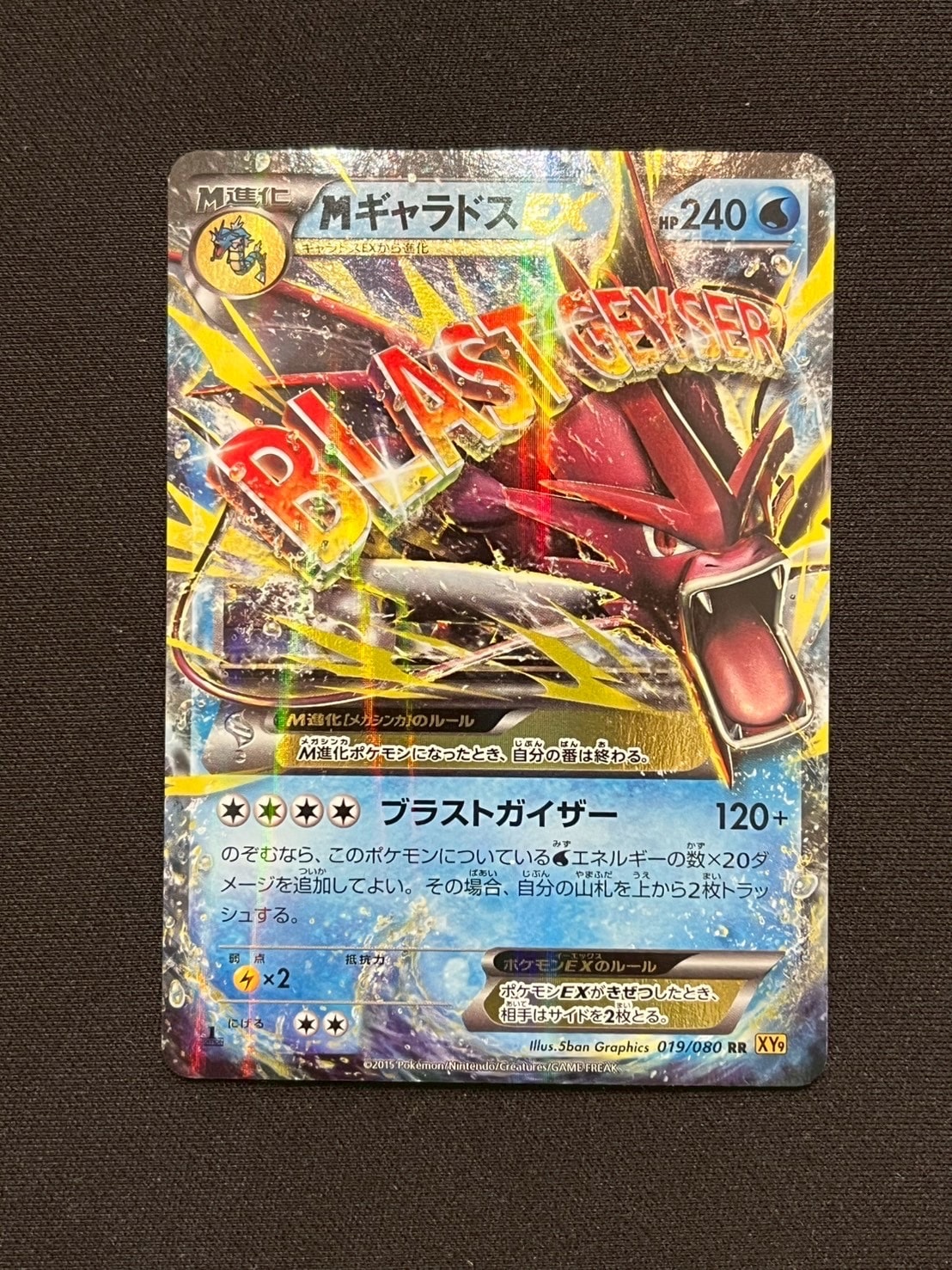 MギャラドスEX RR :1ED [XY9 019/080](拡張パック「破天の怒り」)の