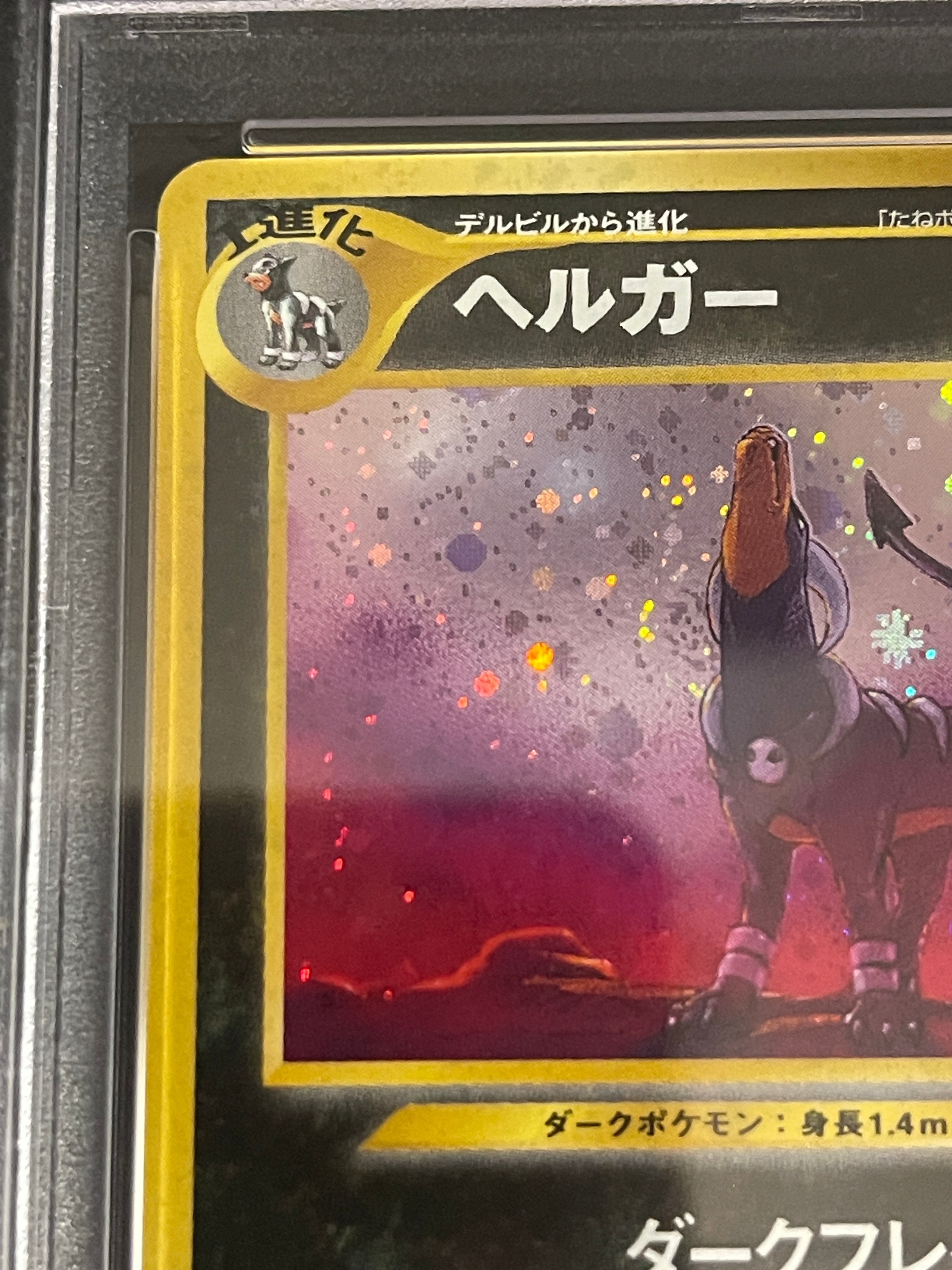 ARS10】ヘルガー めざめる伝説 No.229 ヘルガー ☆ : 旧裏 [neo3 No ARS10】ヘルガー めざめる伝説 No.229 ヘルガー ☆ : 旧裏 [neo3 No
