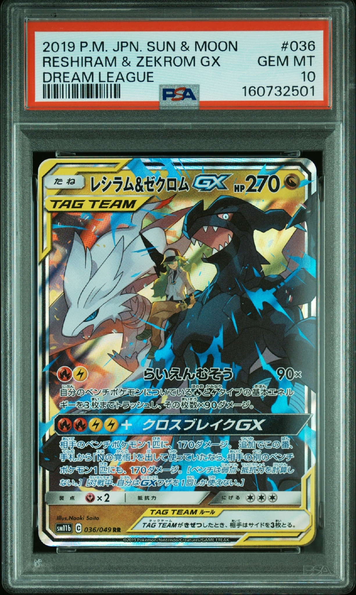 レシラム&ゼクロムGX (N) RR[SM11b 036/049](強化拡張パック「ドリームリーグ」)
