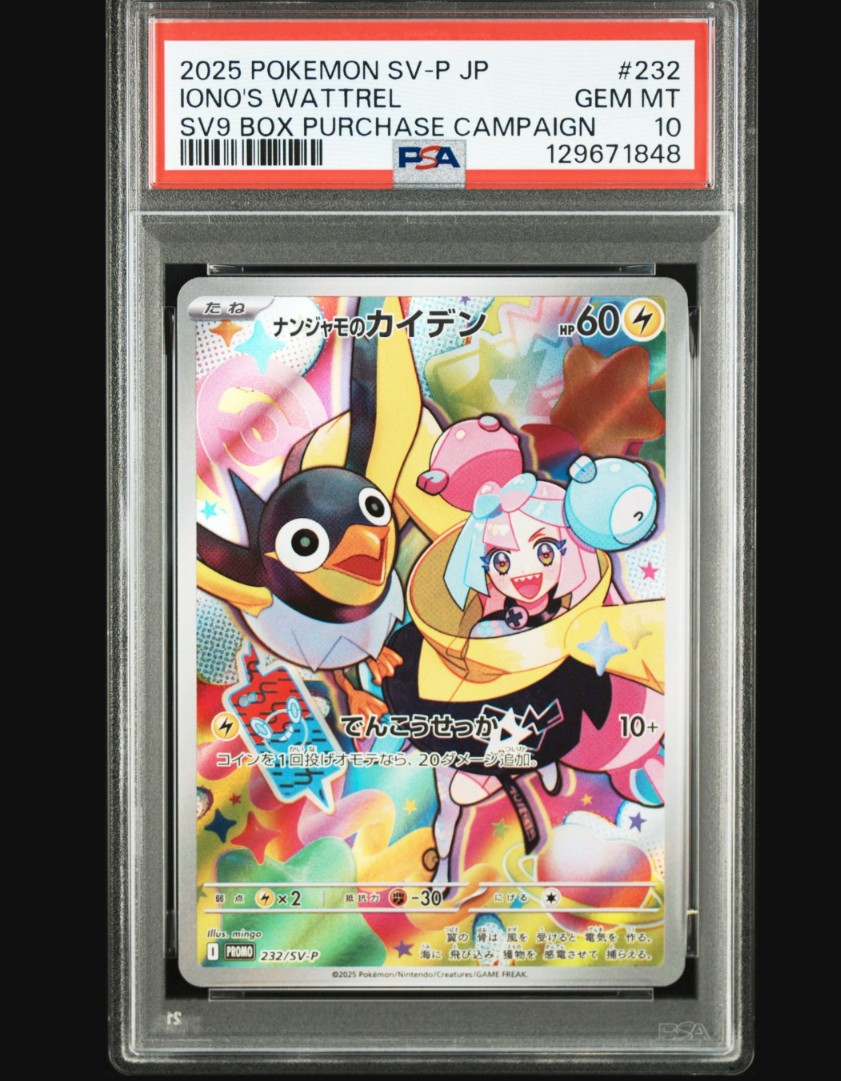 ナンジャモのカイデン P [SV-P 232](プロモーションカード「拡張パック バトルパートナーズ Box購入キャンペーン」)