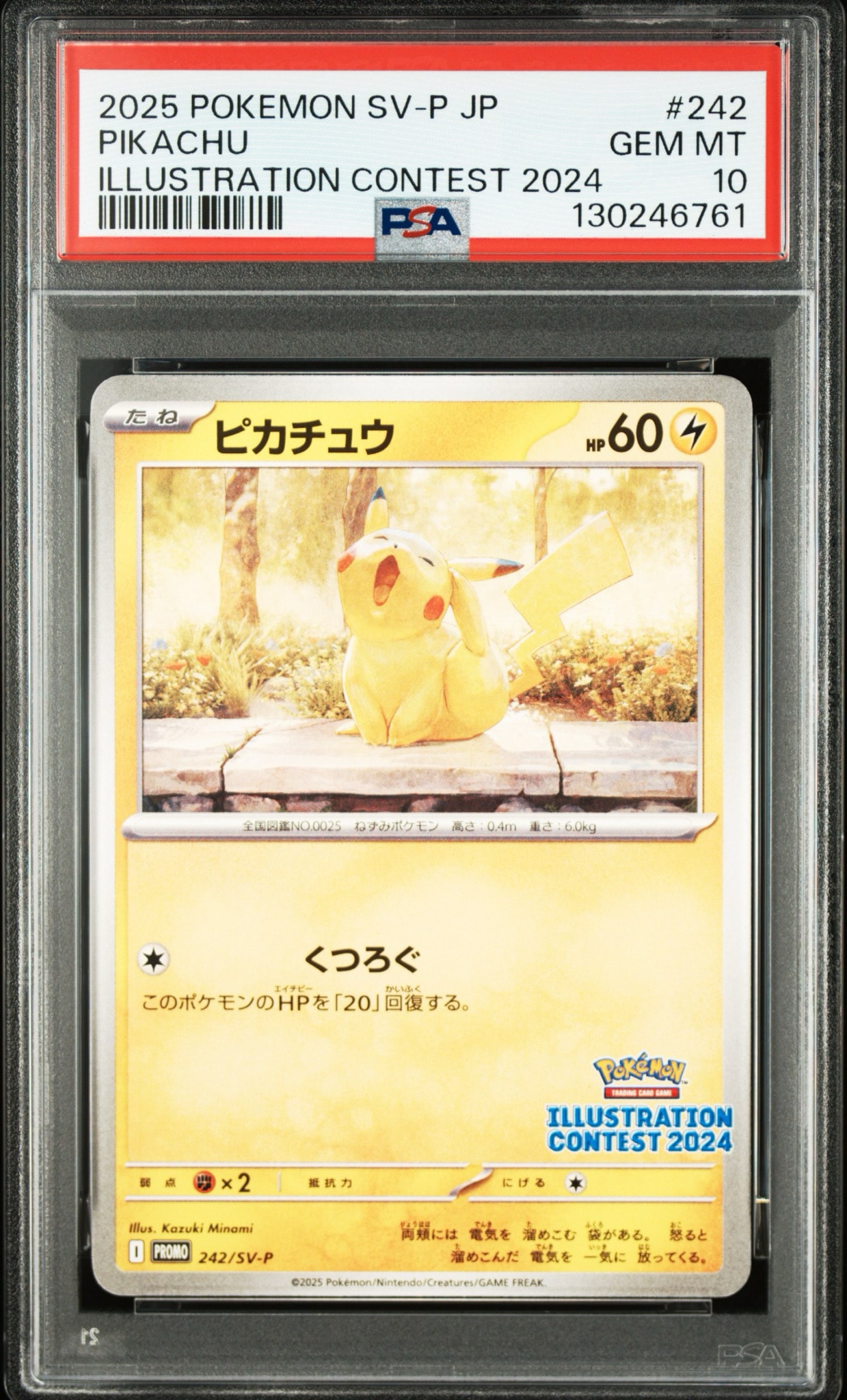 ピカチュウ [SV-P 242](プロモカードパック「イラストレーション