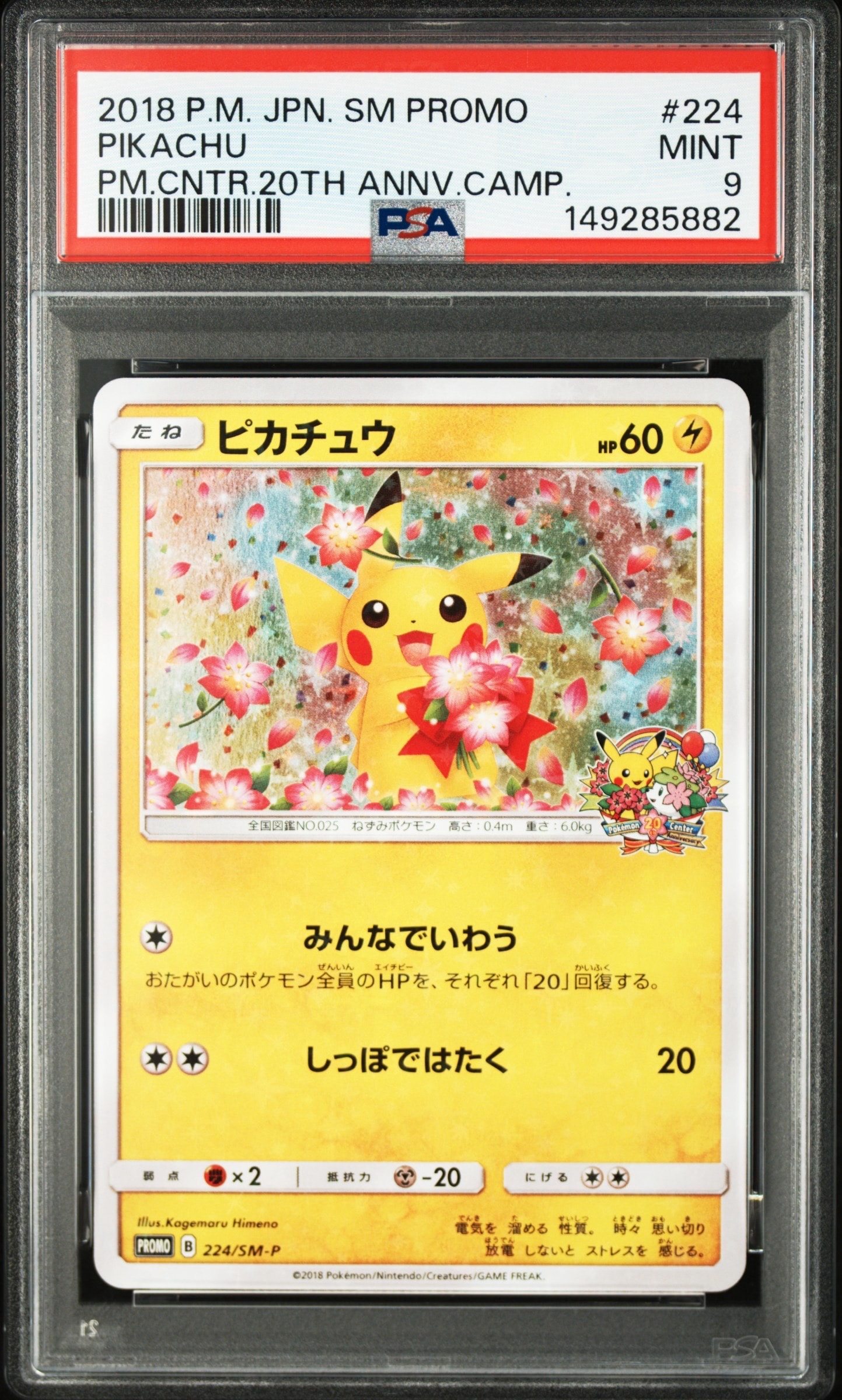 ピカチュウ&ゼクロムGX RR [SM12a 041/173](ハイクラスパック「TAG