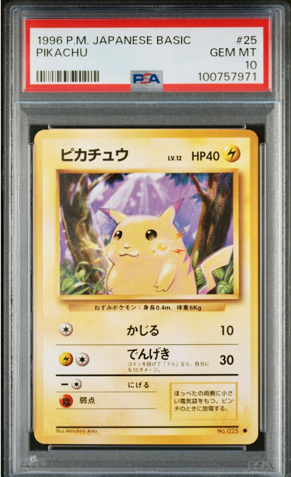 ピカチュウ ○ : 旧裏 [PMCG1-2](拡張パック「ポケットモンスター