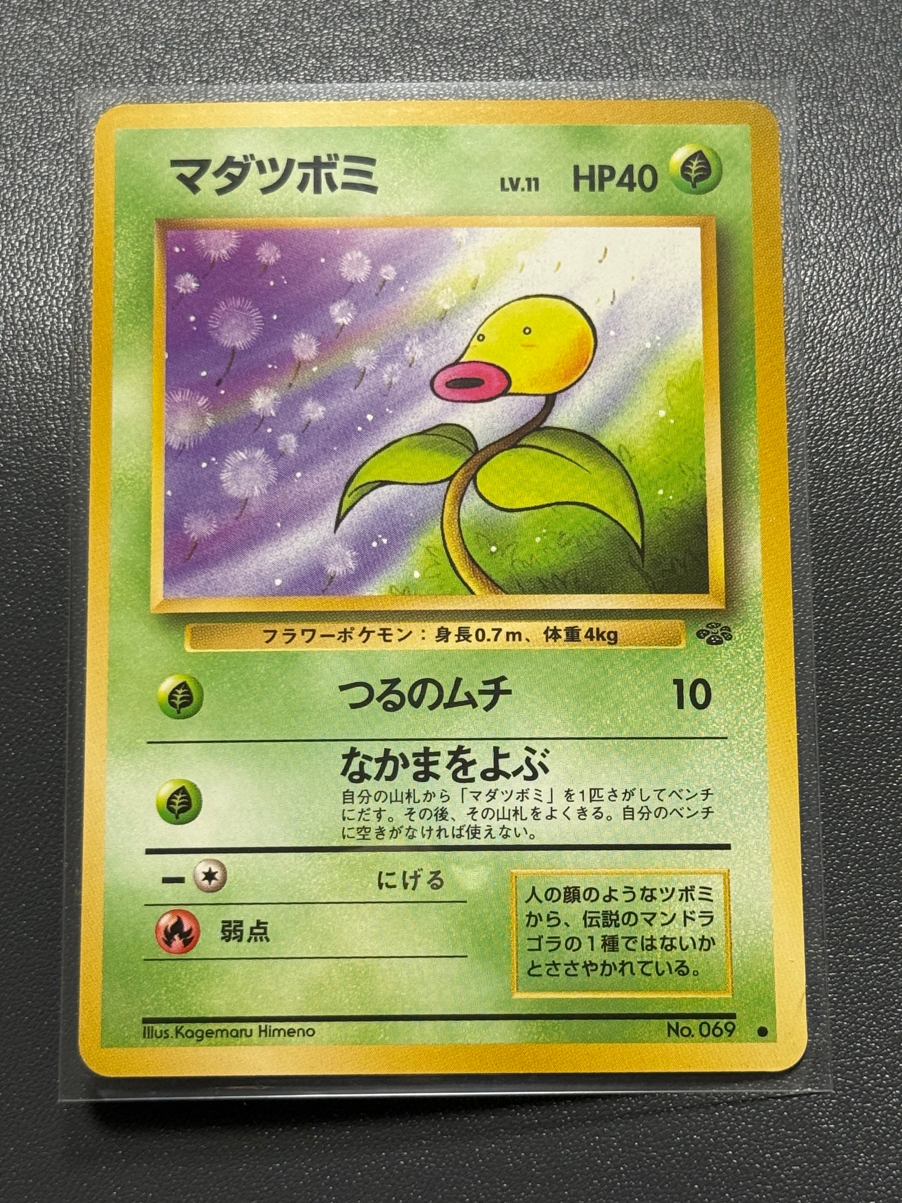 [PSA7]ワニノコ　マーク無し　旧裏　プレミアムファイル PROMO 第1世代 ワニノコ_プレミアムファイル PROMO 第1世代 1996~1999 旧裏 - メルカリ