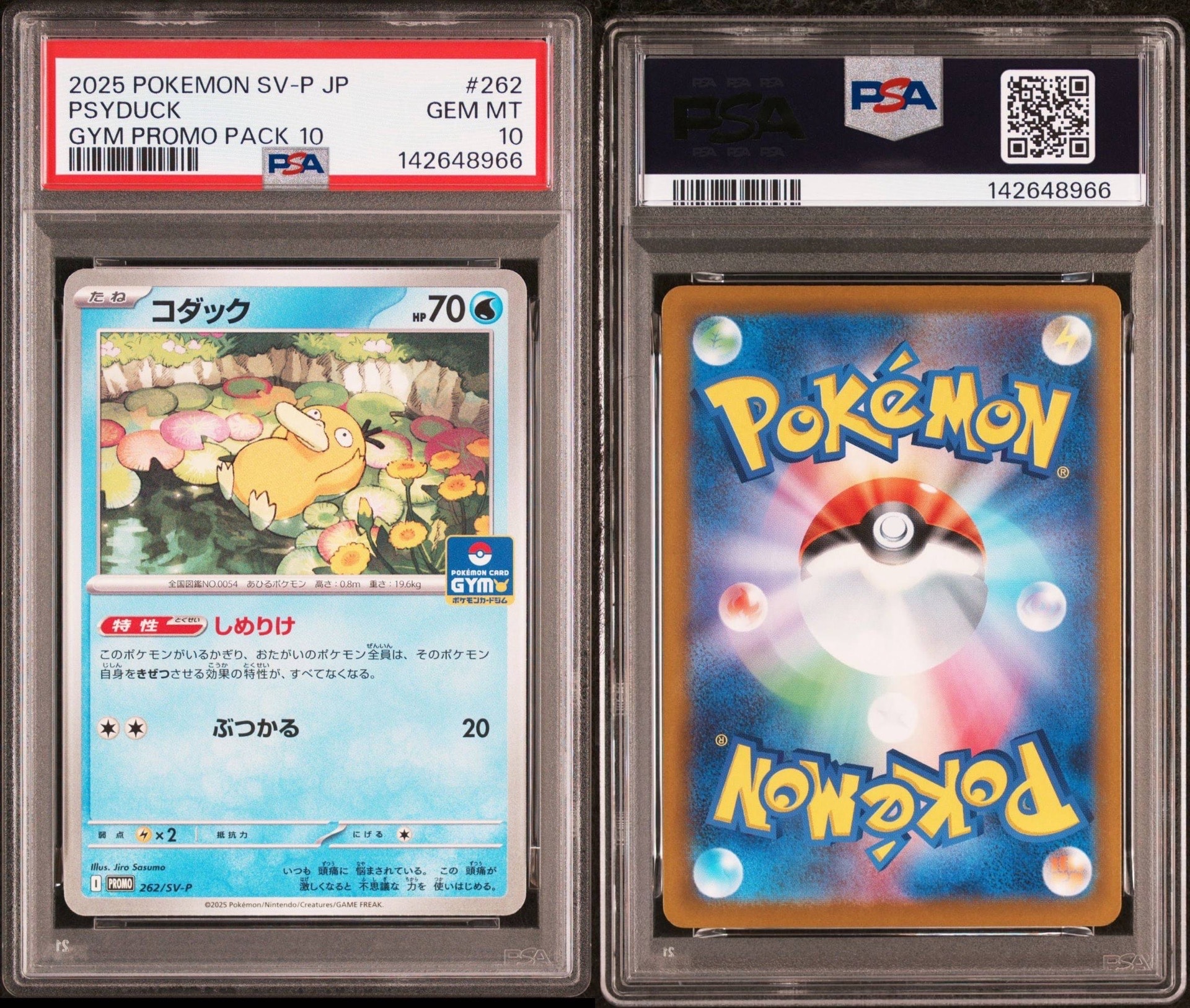 PSA10コダックジムプロモ PROMO SV-Pプロモカード 262/SV-P Amazon.co.jp: コダック しめりけ 262 SV P ジム プロモ : ホビー