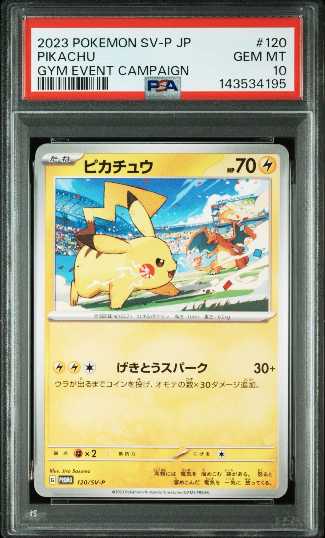 ピカチュウ: プロモ [SV-P 120](プロモーションカード「SV-P」)