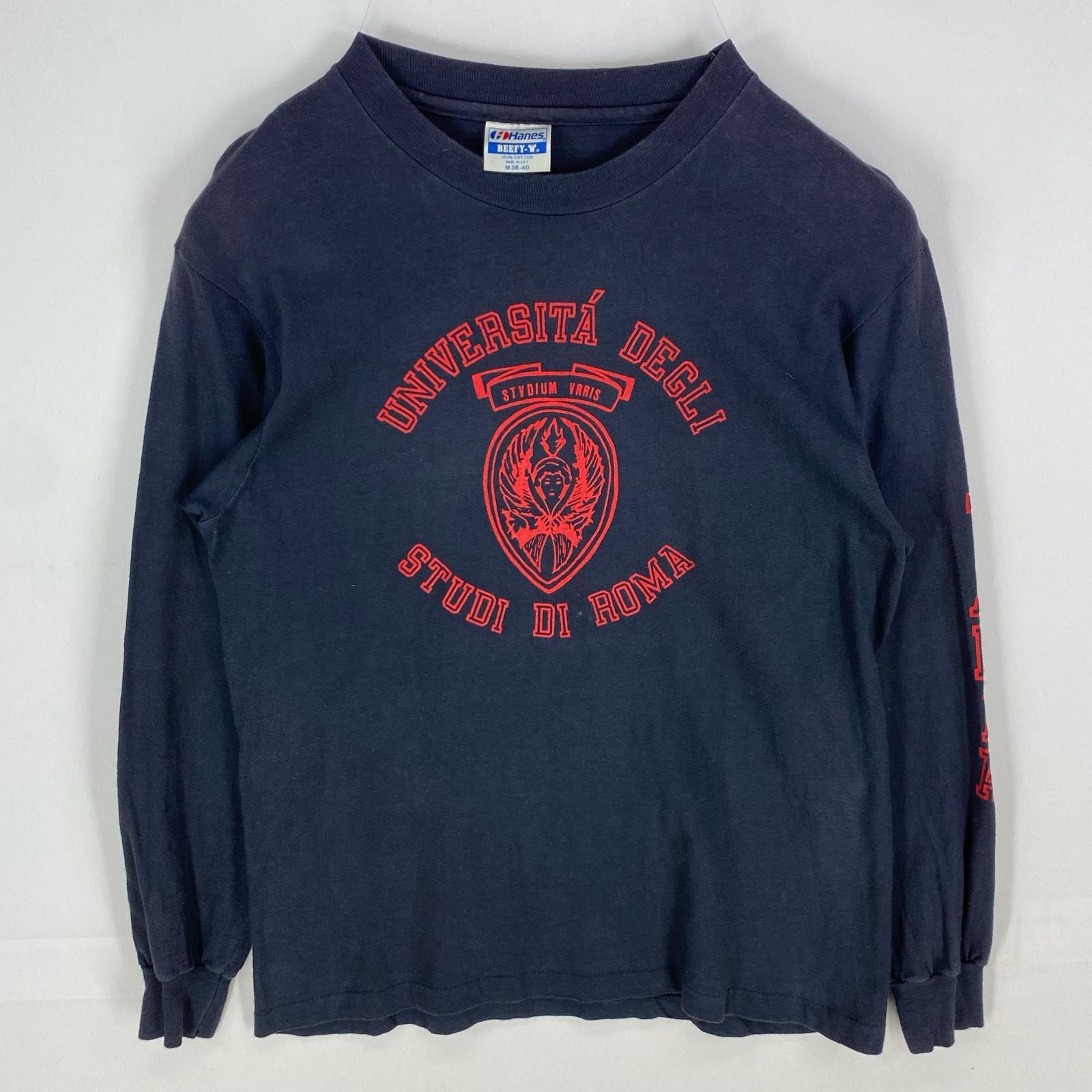 古着 90's/90年代 ヘインズ Hanes USA製 長袖Tシャツ クルーネック カレッジ シングルステッチ M  ネイビー系 プリント メンズ