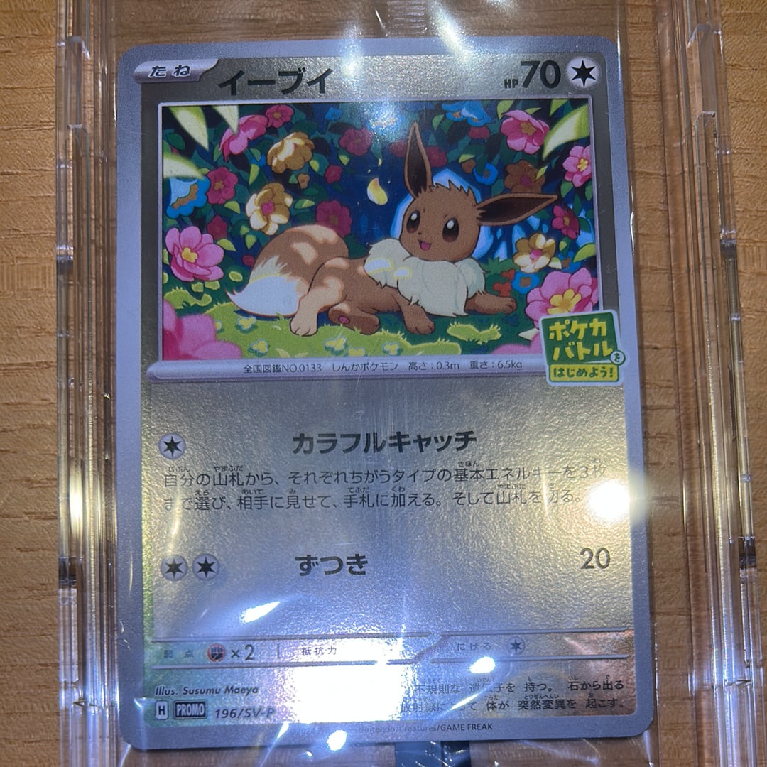 イーブイ P [SV-P-SM 196](プロモカードパック「ポケカバトルをはじめよう!キャンペーン」)