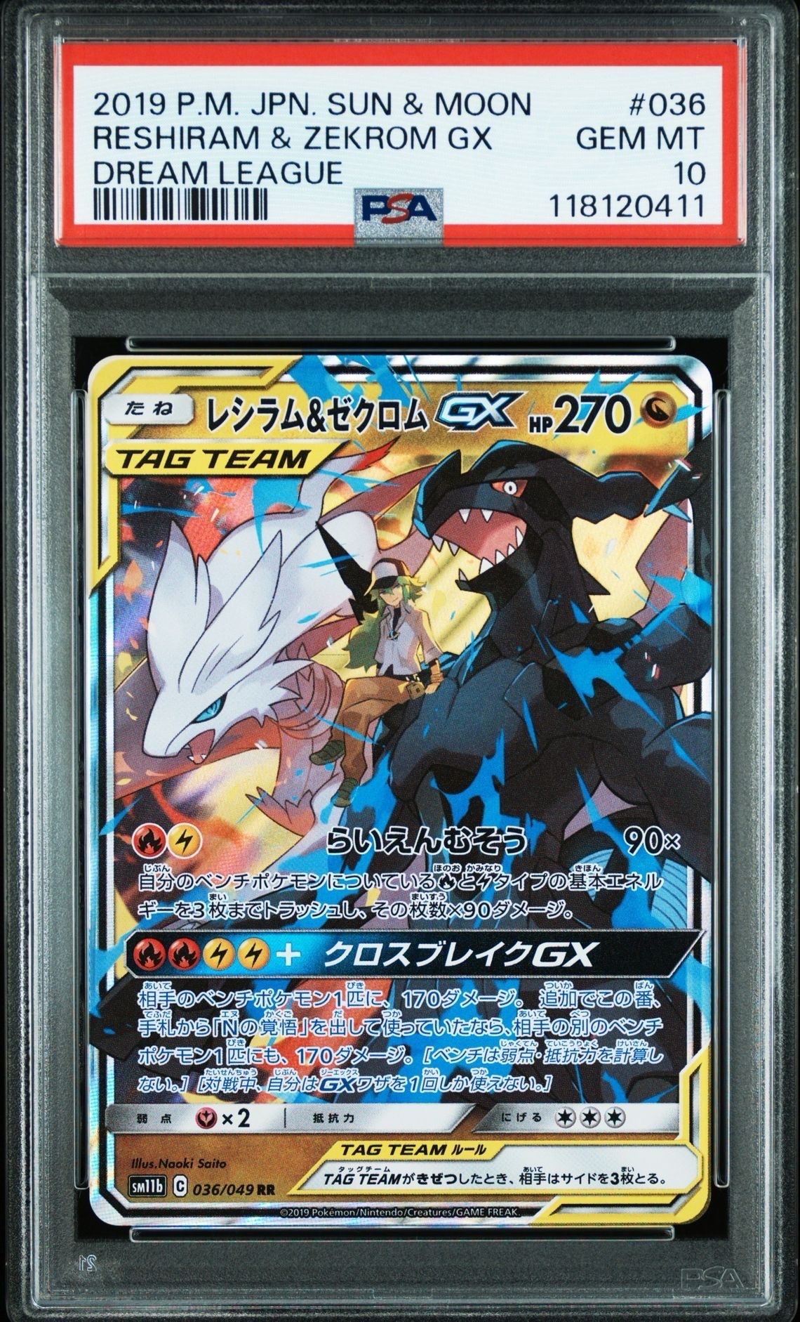 レシラム&ゼクロムGX (N) RR[SM11b 036/049](強化拡張パック「ドリームリーグ」)