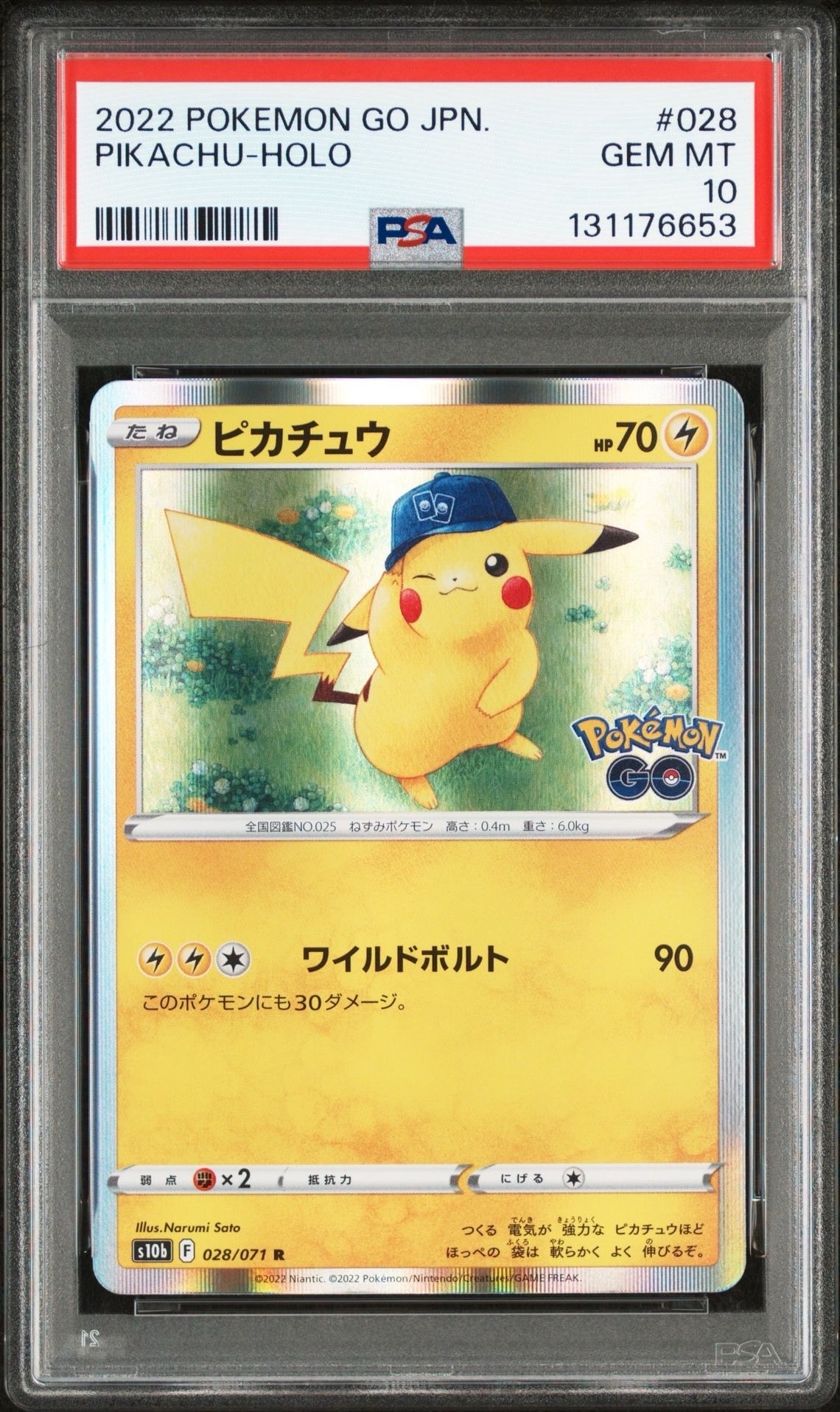 ピカチュウ P [BW-P 229/BW-P](プロモーションカード「ポケモン