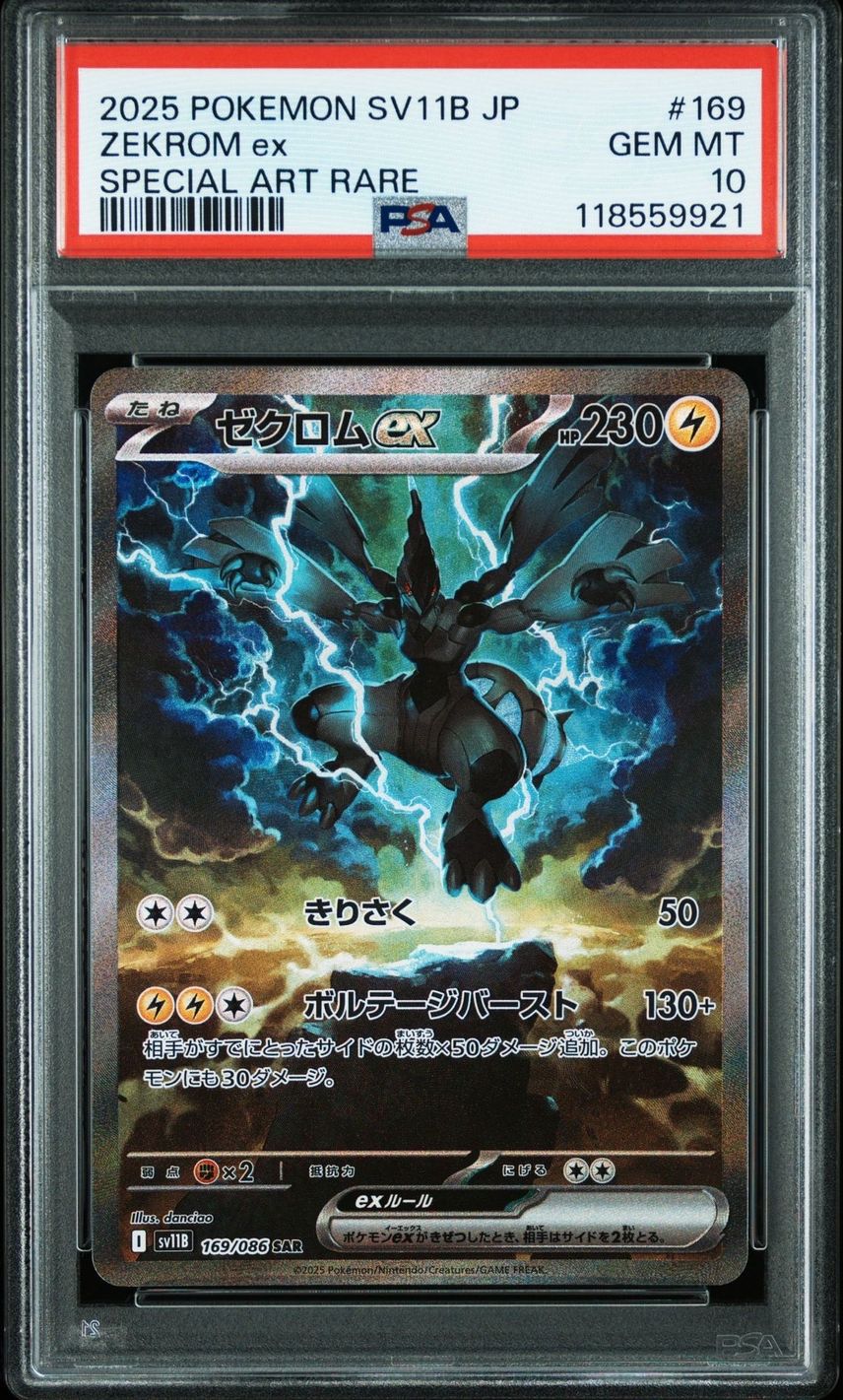 【PSA10】ゼクロムex BWR #4531/51 PSA10】ゼクロムex BWR #4531/51 PSA10】ゼクロムex BWR #4531/51