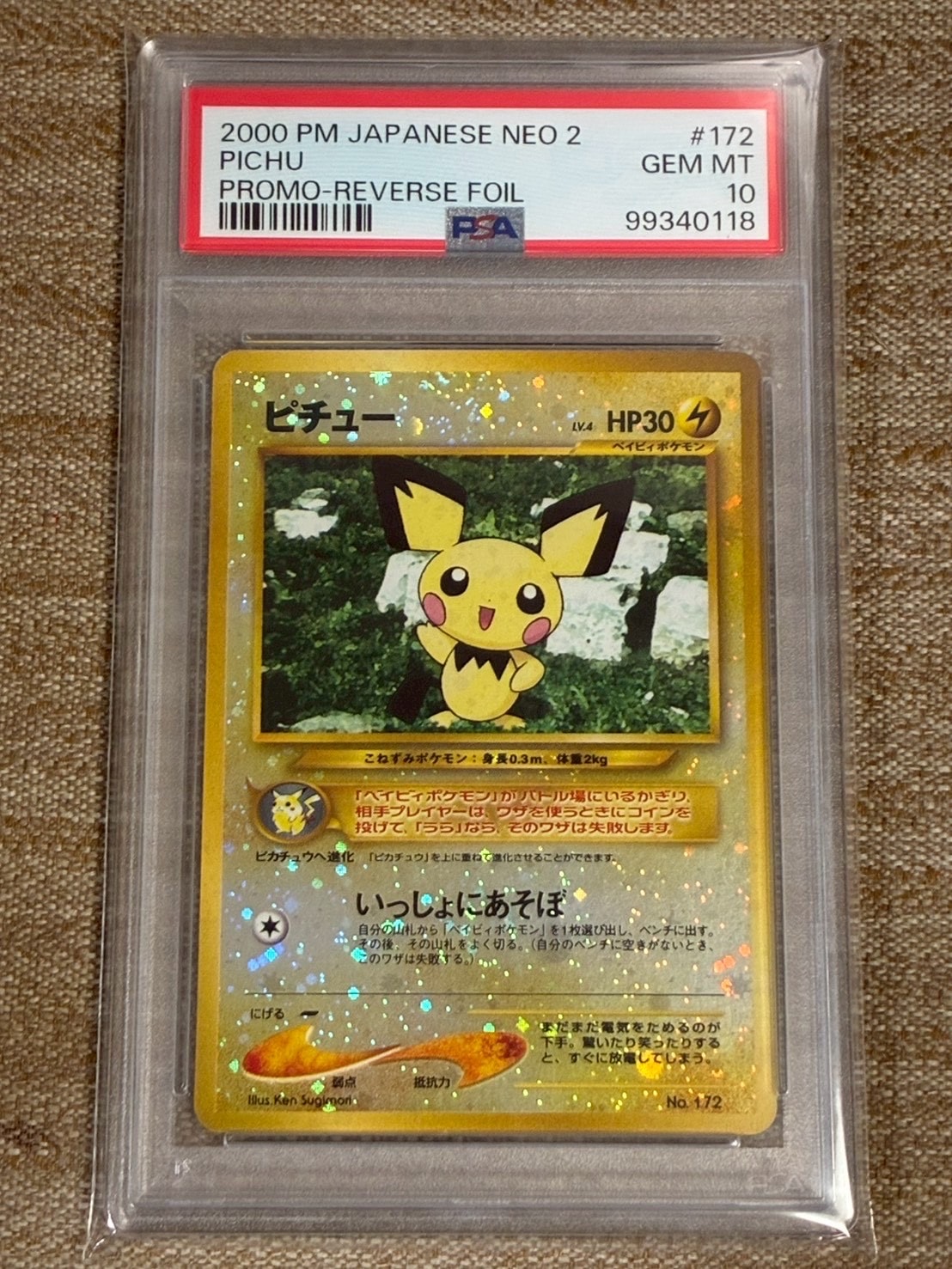 ピチュープレミアムファイル2: 旧裏[neoP2 No.172](プレミアムファイル2)