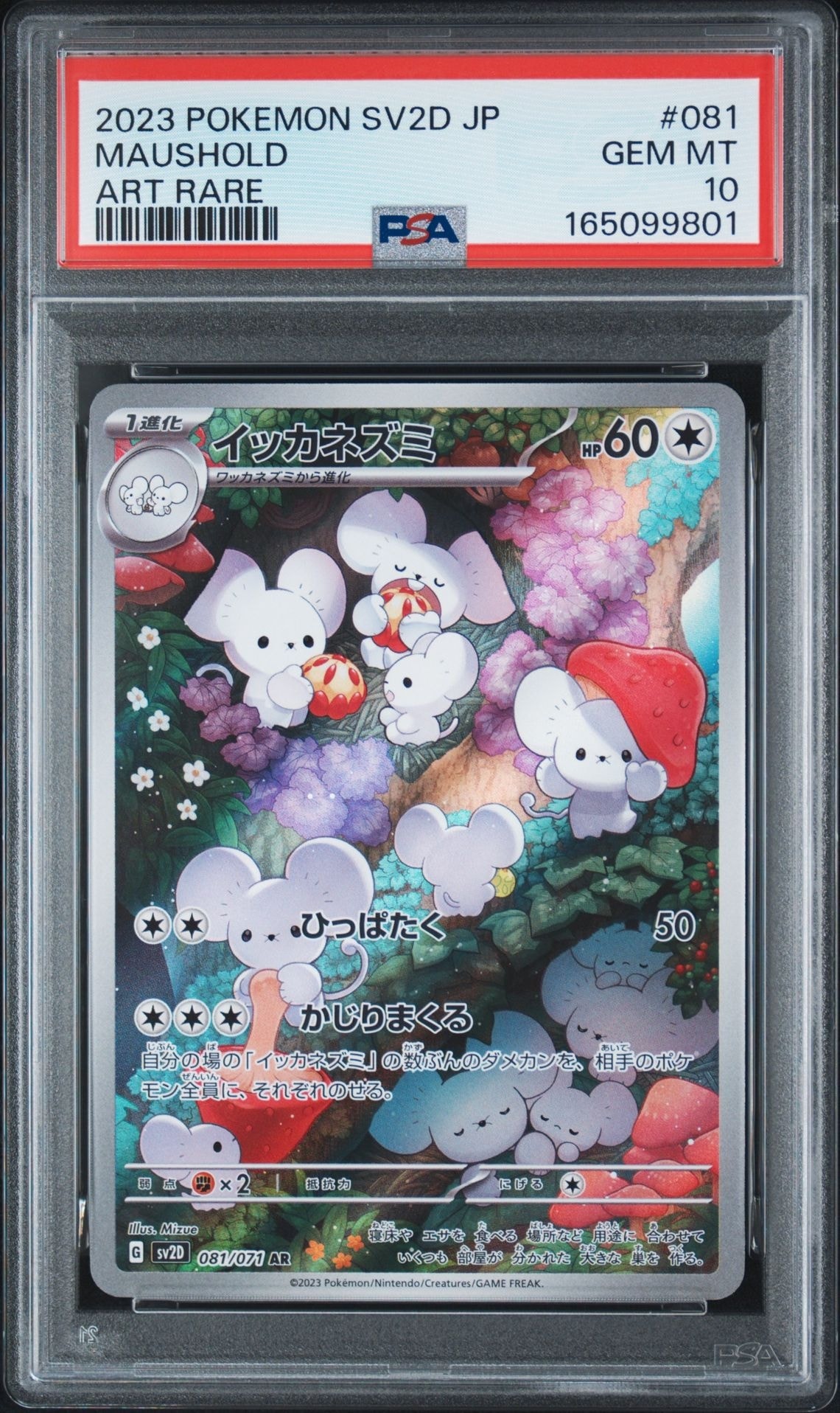 Maushold AR[SV2D 081/071](Expansion Pack "Clay burst")
