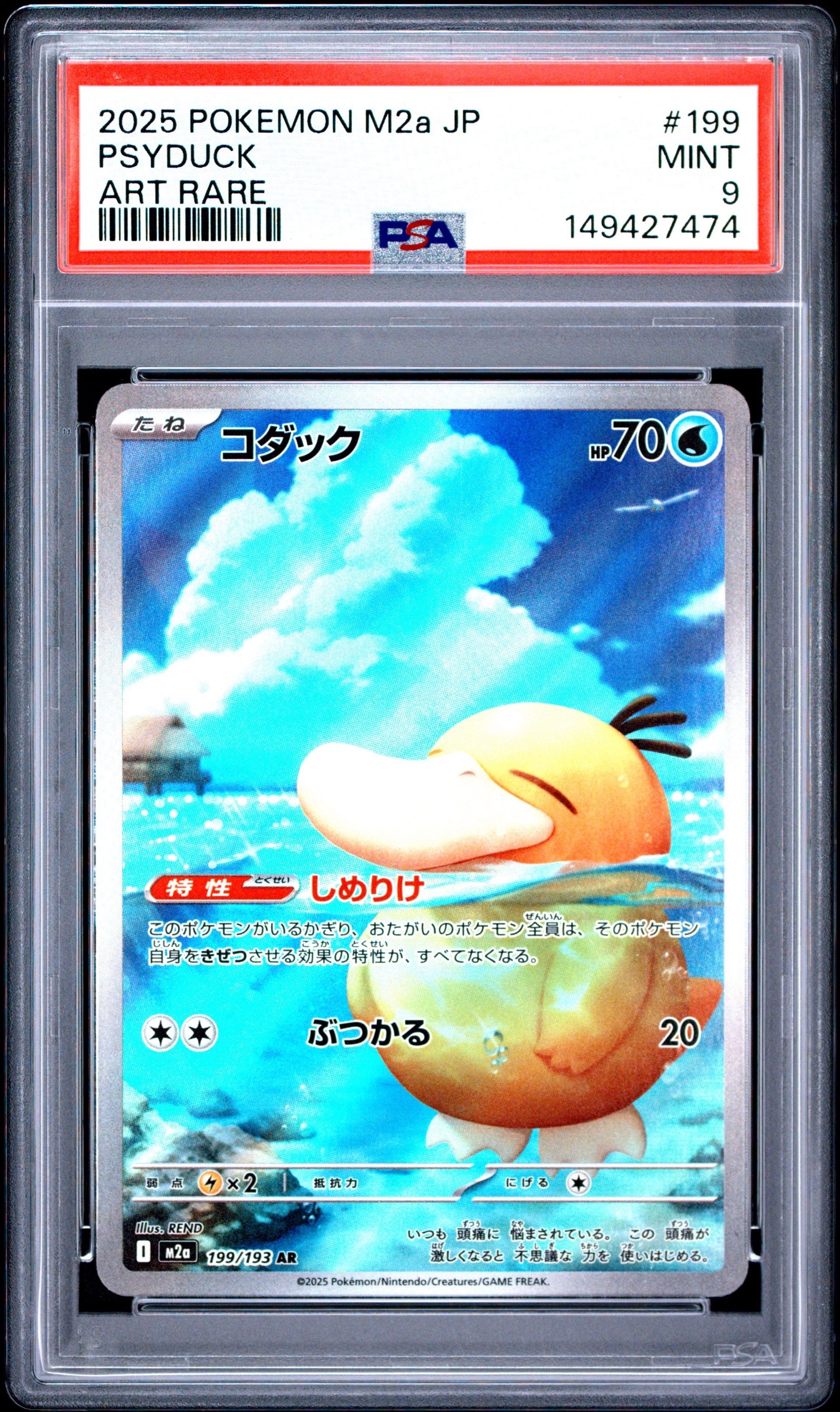 コダック AR [M2a 199/193](ハイクラスパック「MEGAドリームex」)