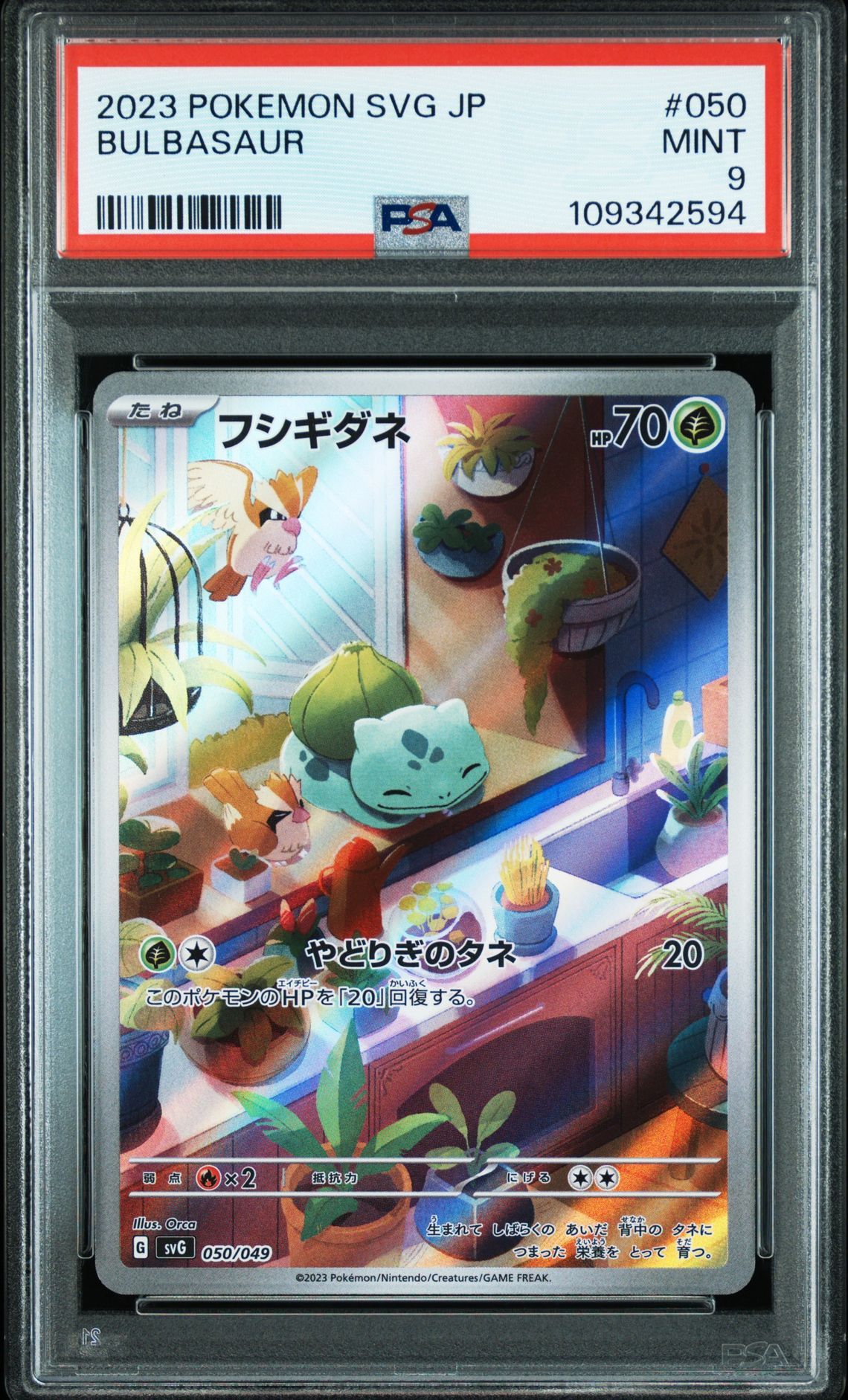 フシギダネ :フルイラスト [SVG 050/049](スペシャルデッキセットex「フシギバナ・リザードン・カメックス」)