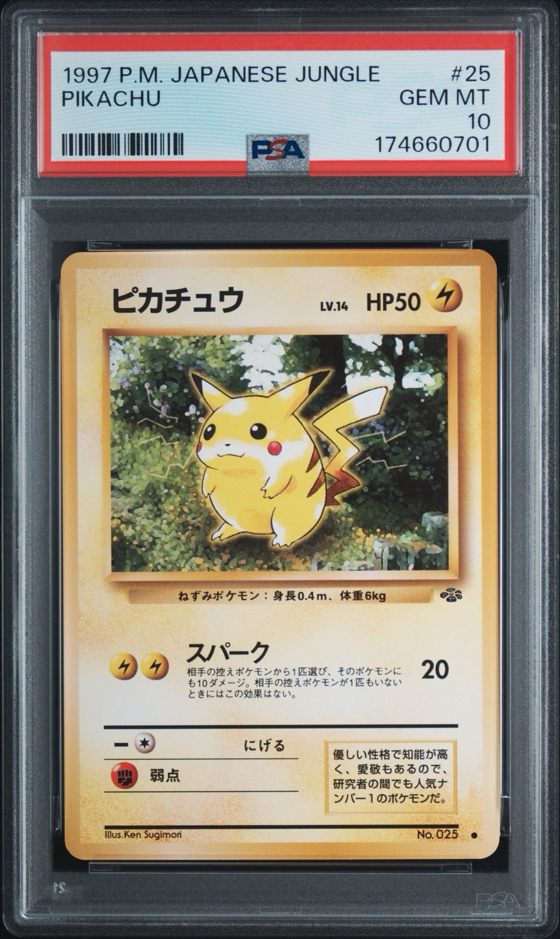 ピカチュウ　旧裏　ジャングル　ポケカ ピカチュウ ○ : 旧裏 [PMCG2 No.025](拡張パック「ポケモンジャングル